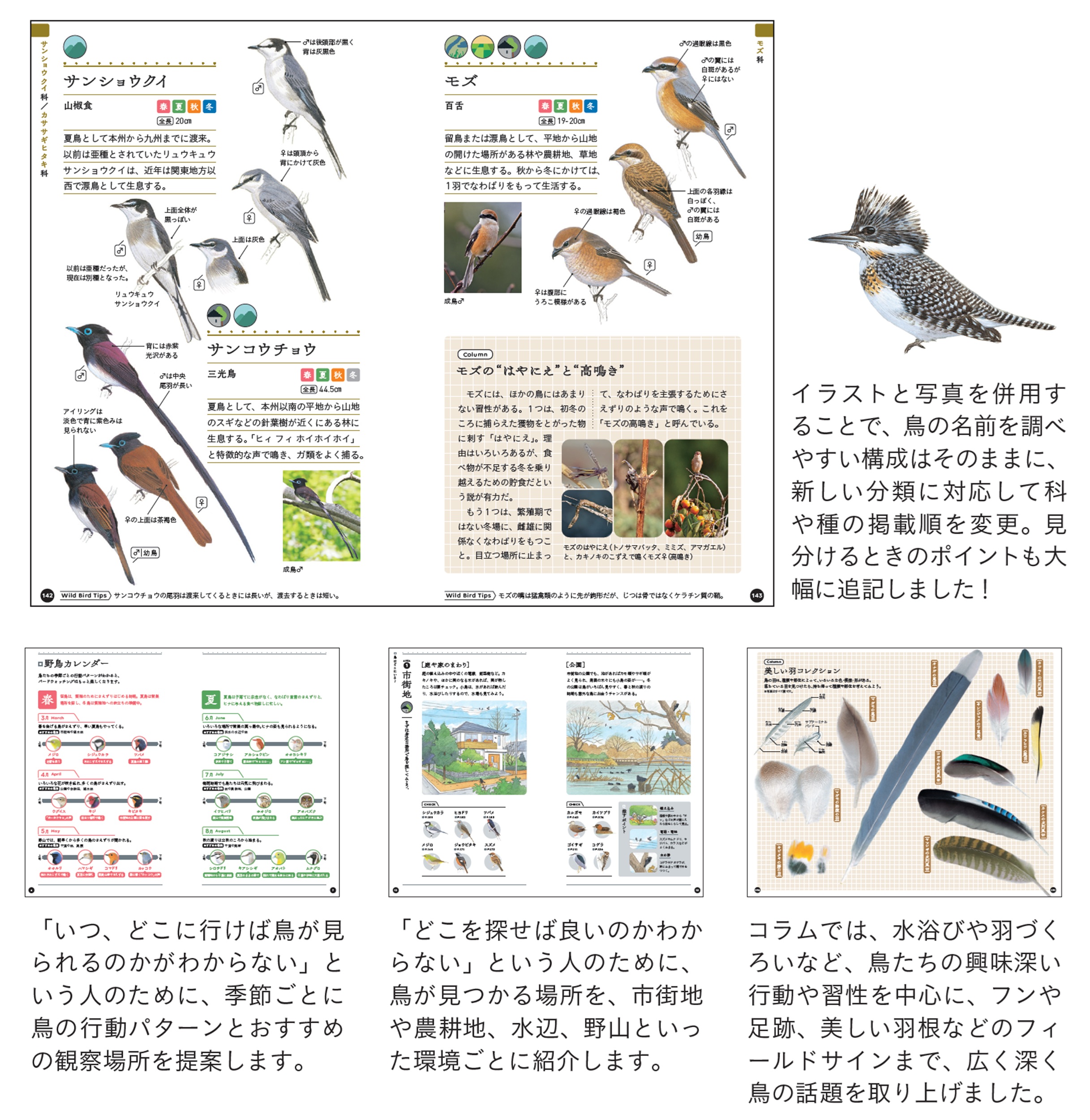 サムネイル画像2