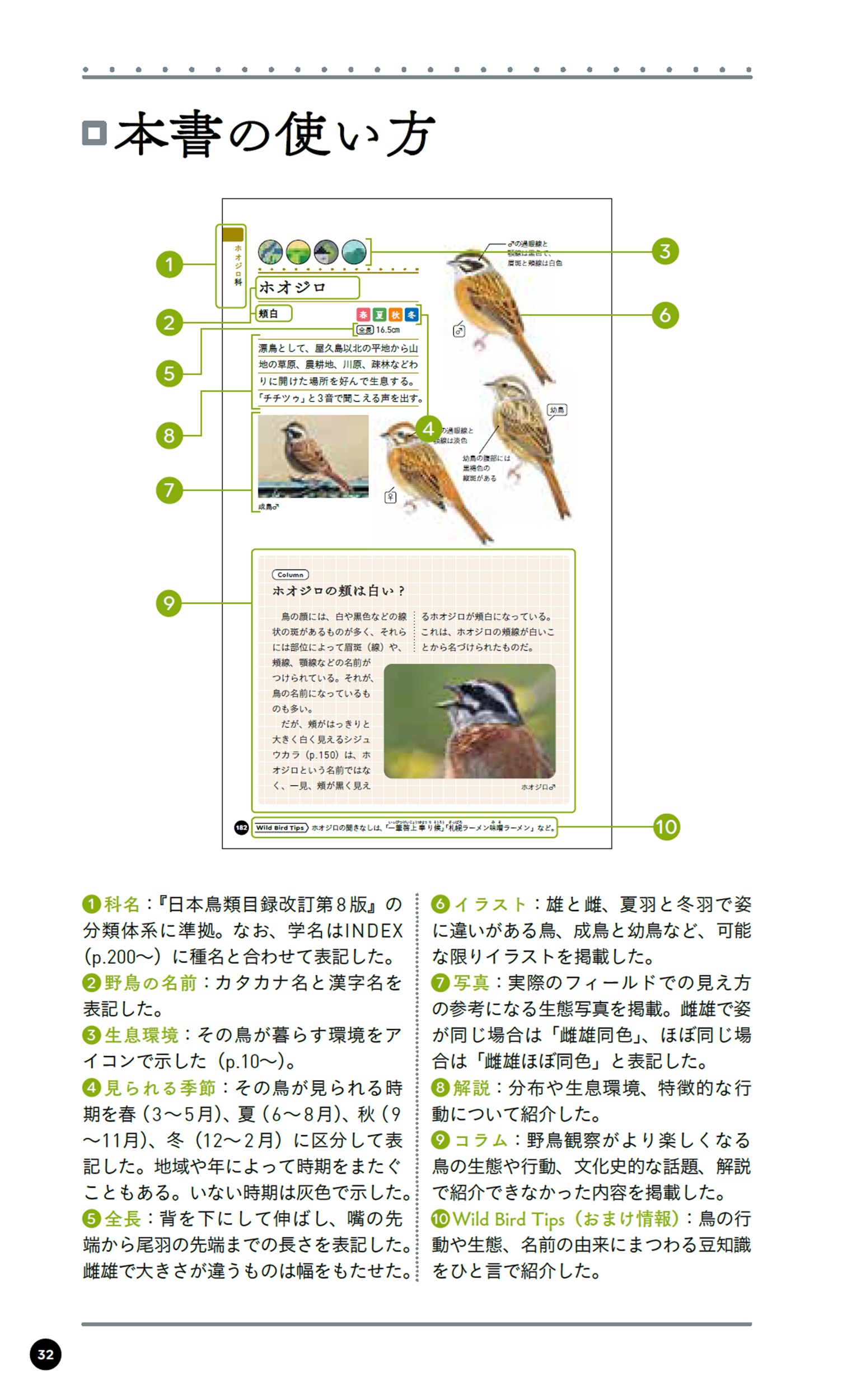 サムネイル画像4