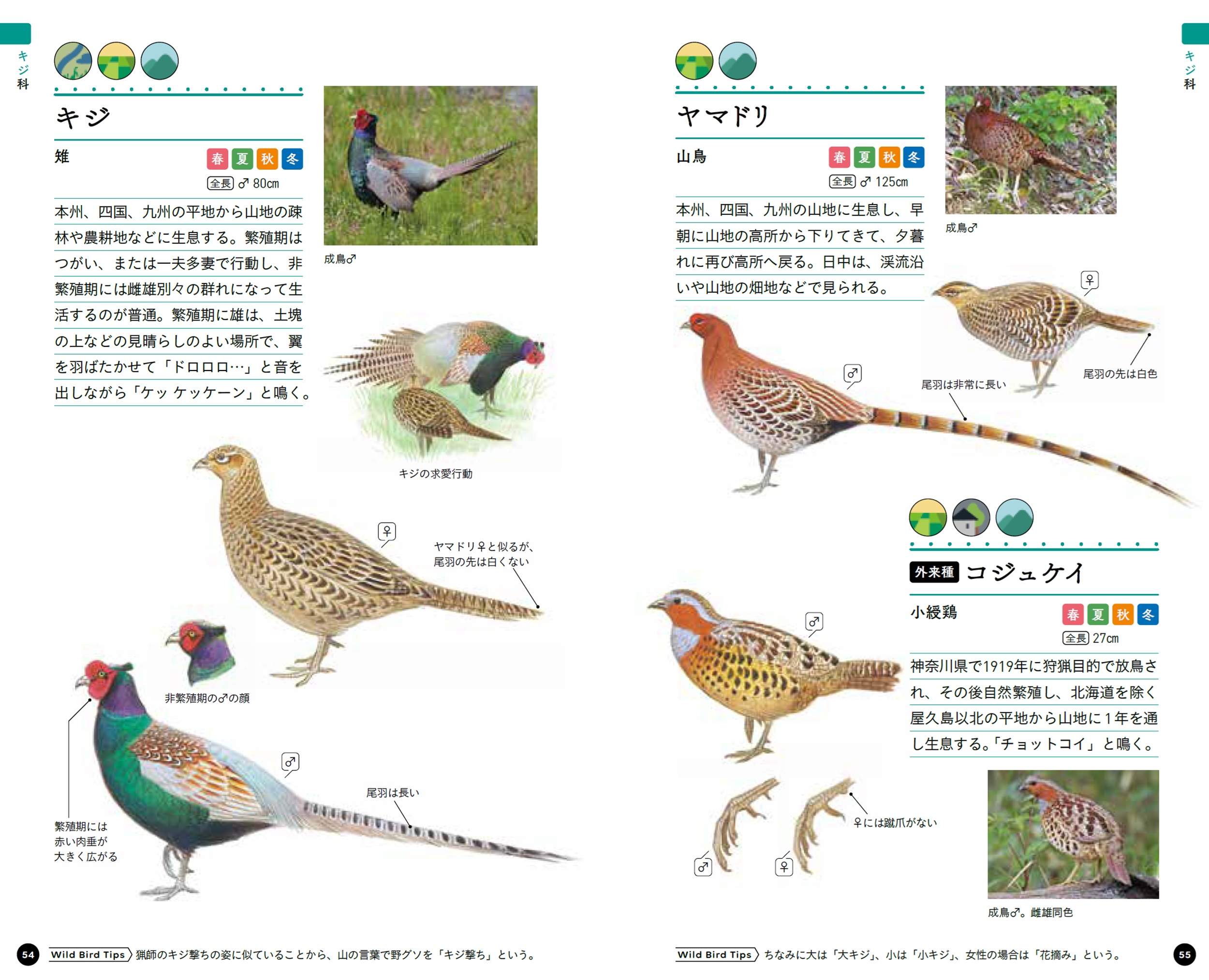 サムネイル画像6