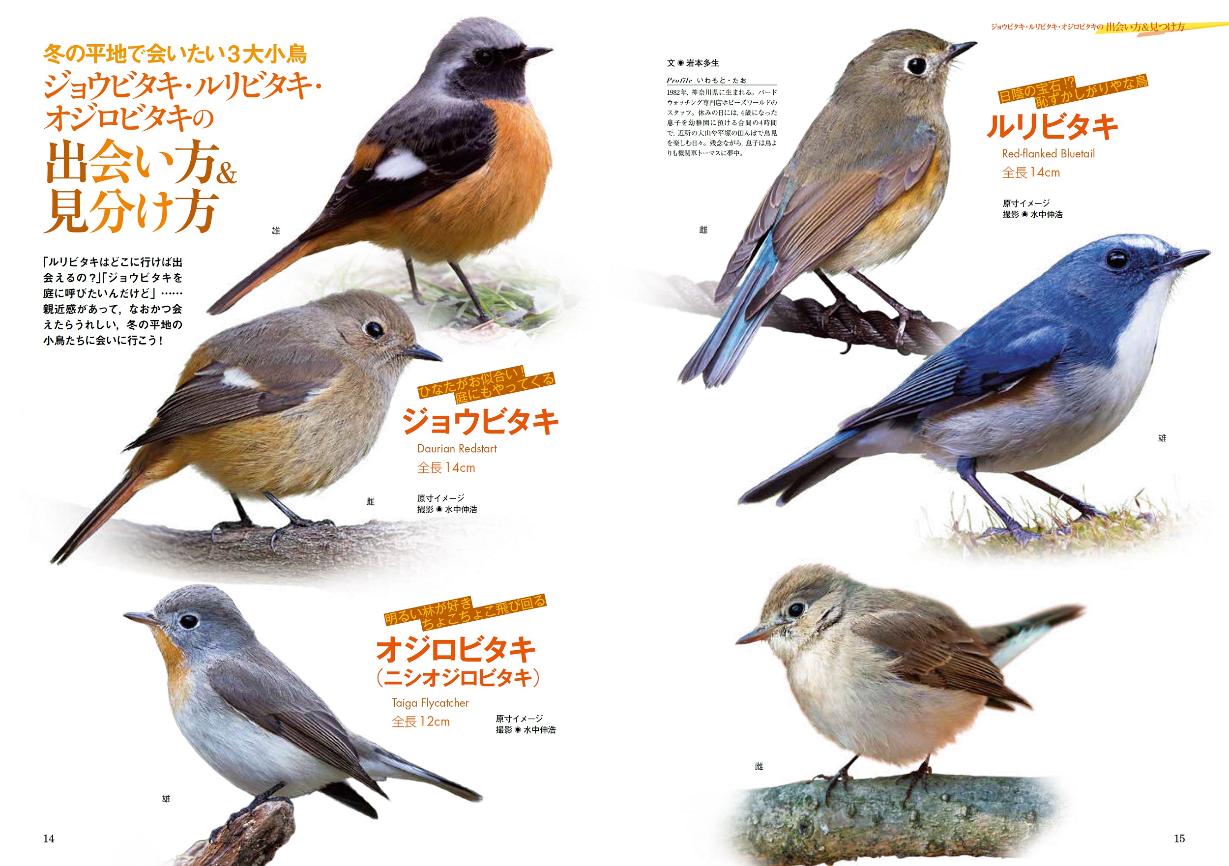 サムネイル画像3