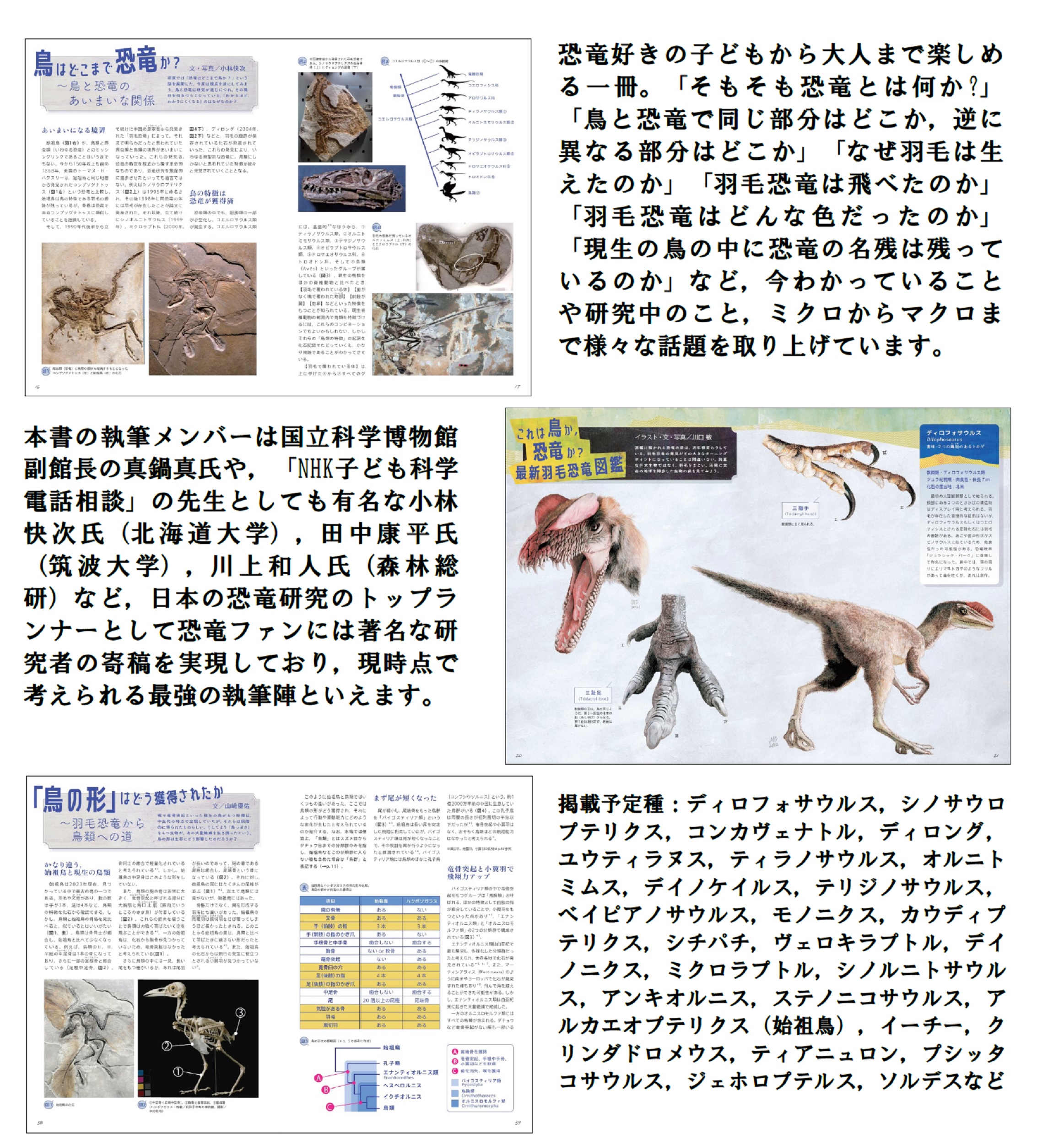 サムネイル画像4
