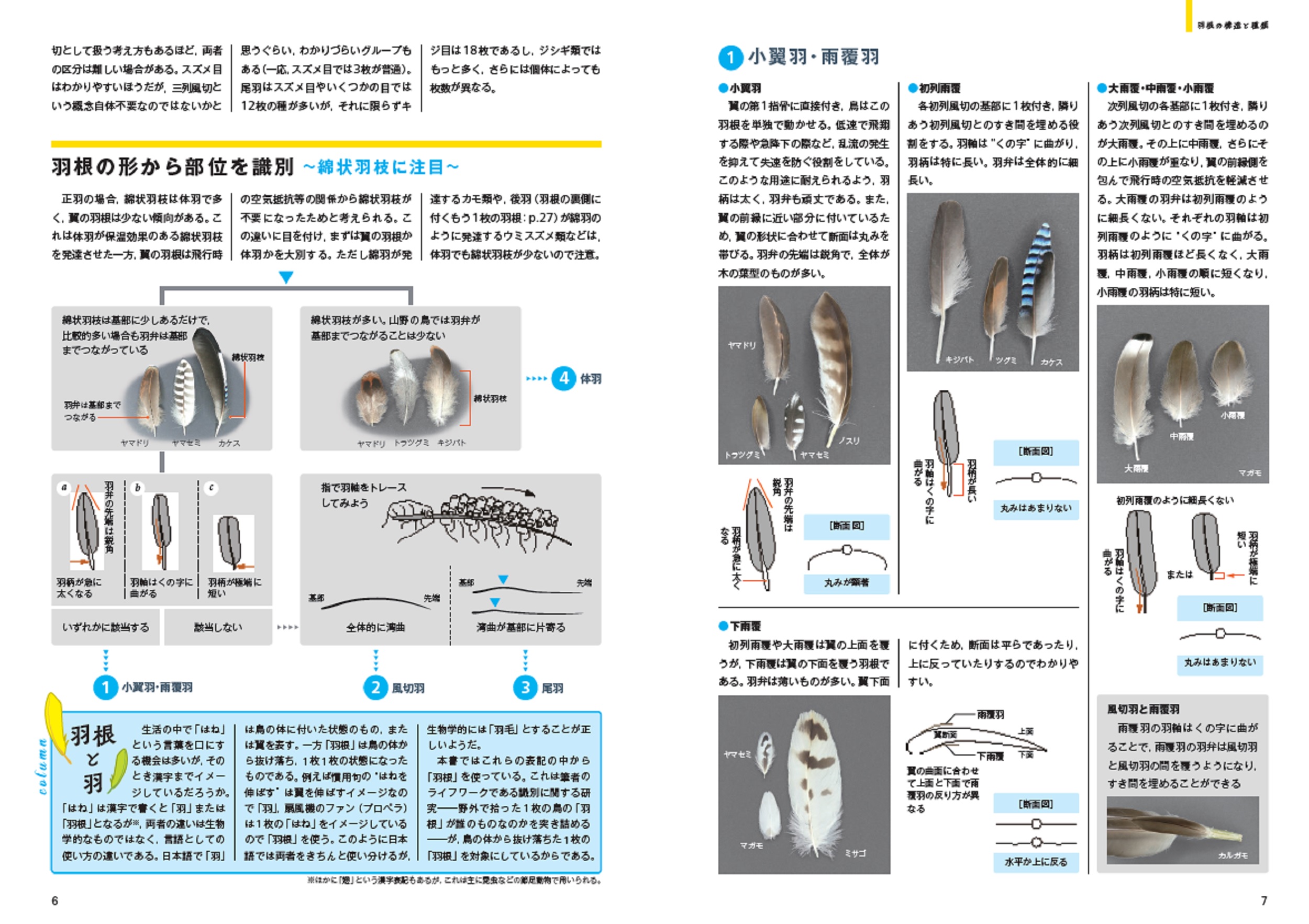 サムネイル画像2
