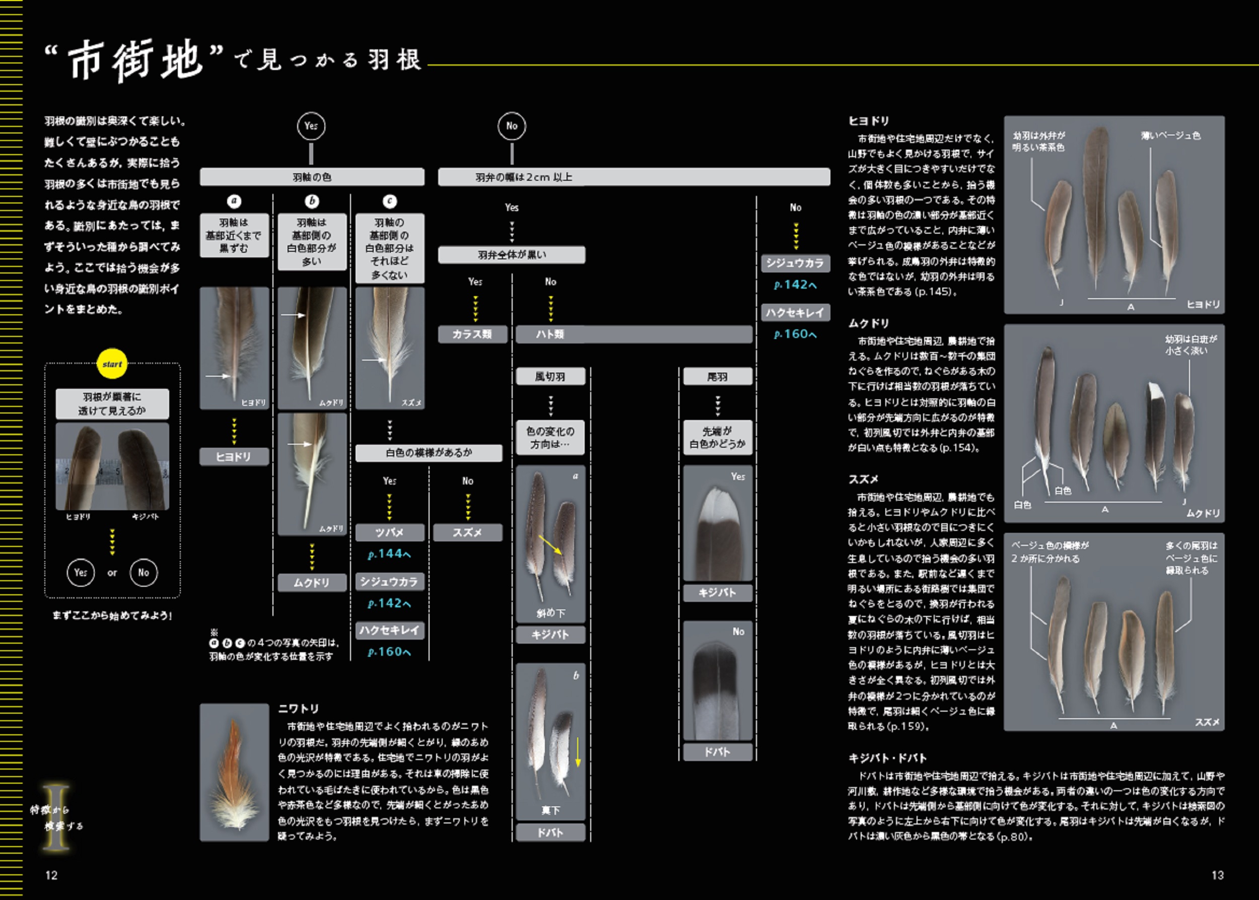 サムネイル画像3