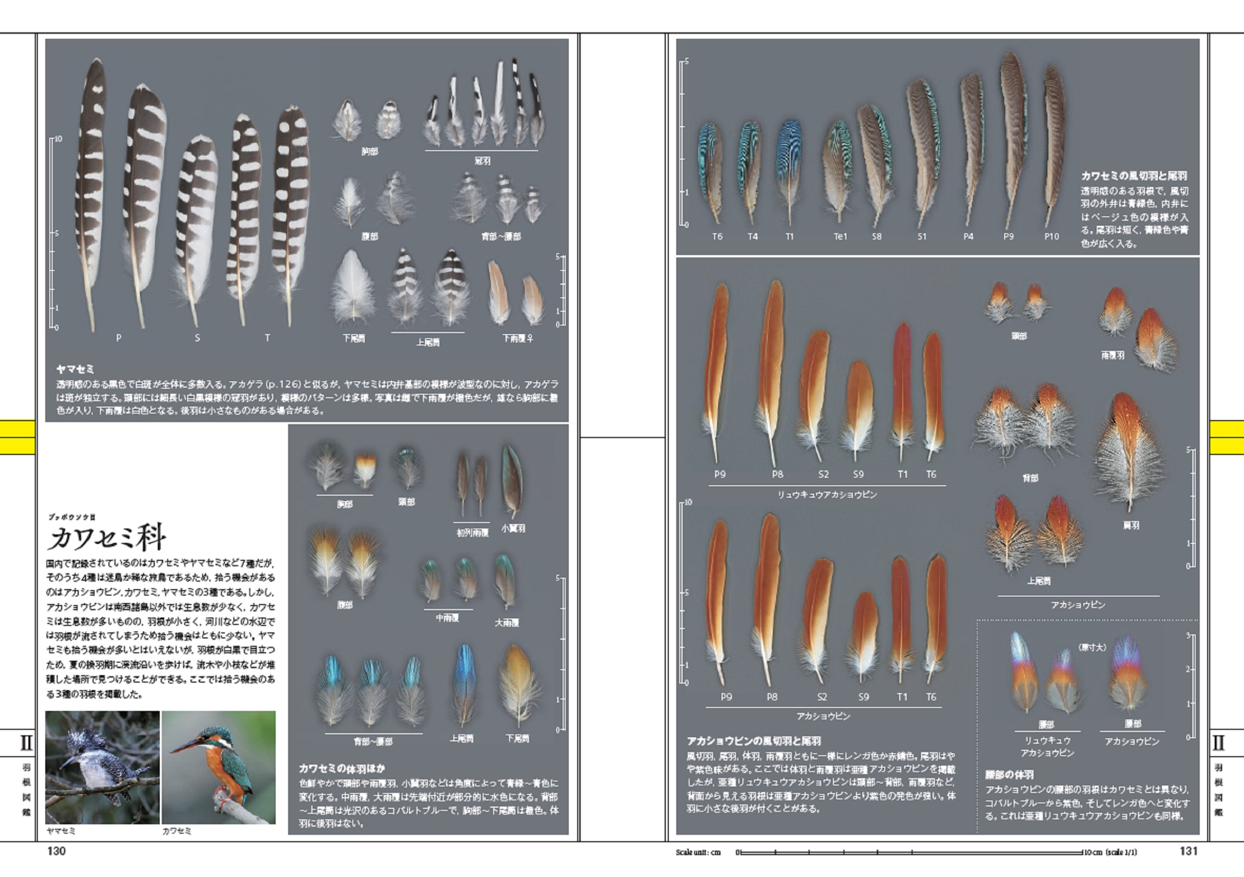 サムネイル画像4