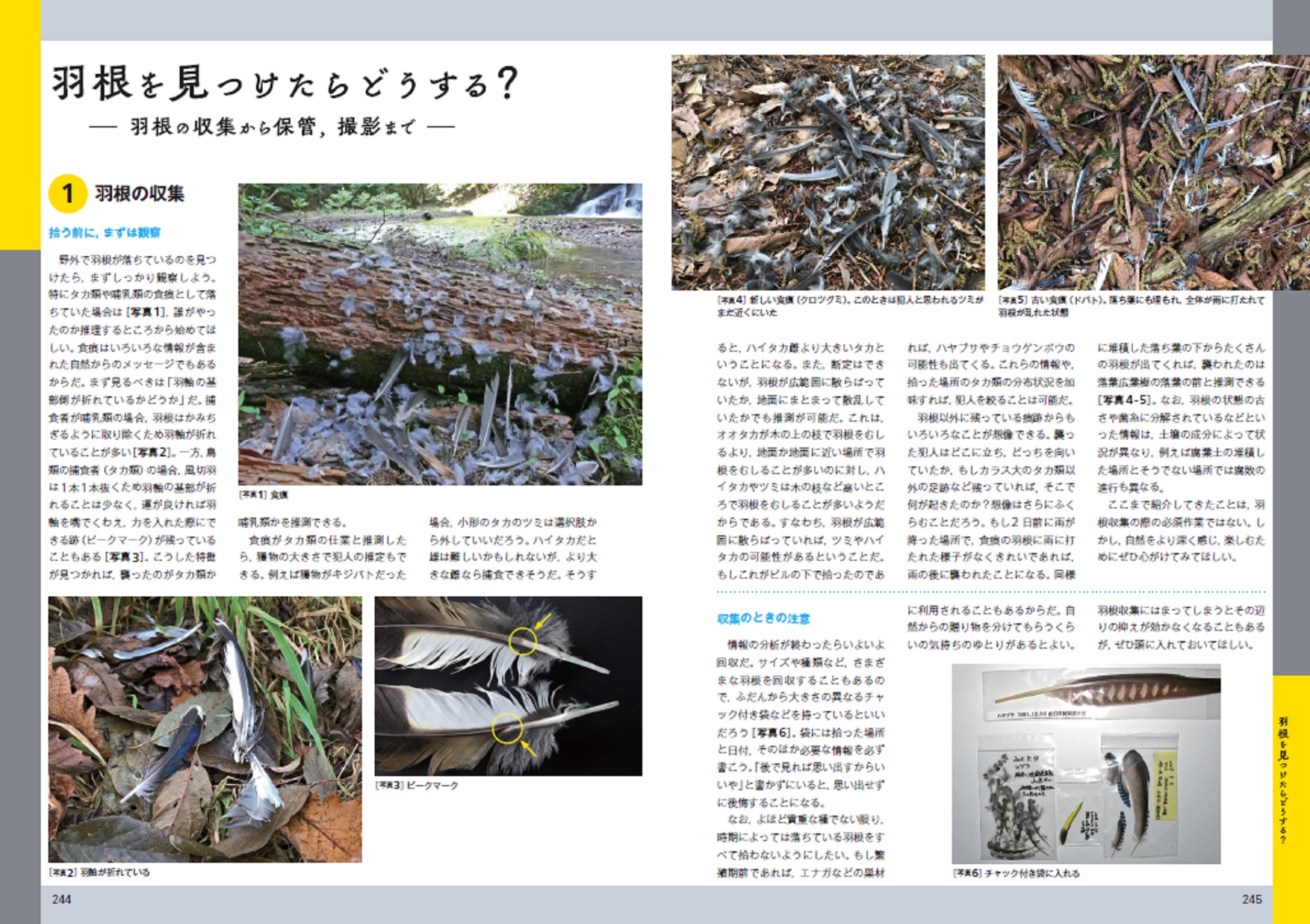 サムネイル画像5
