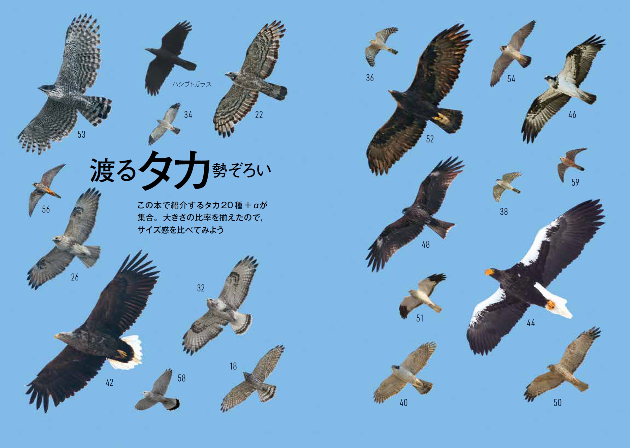 サムネイル画像3