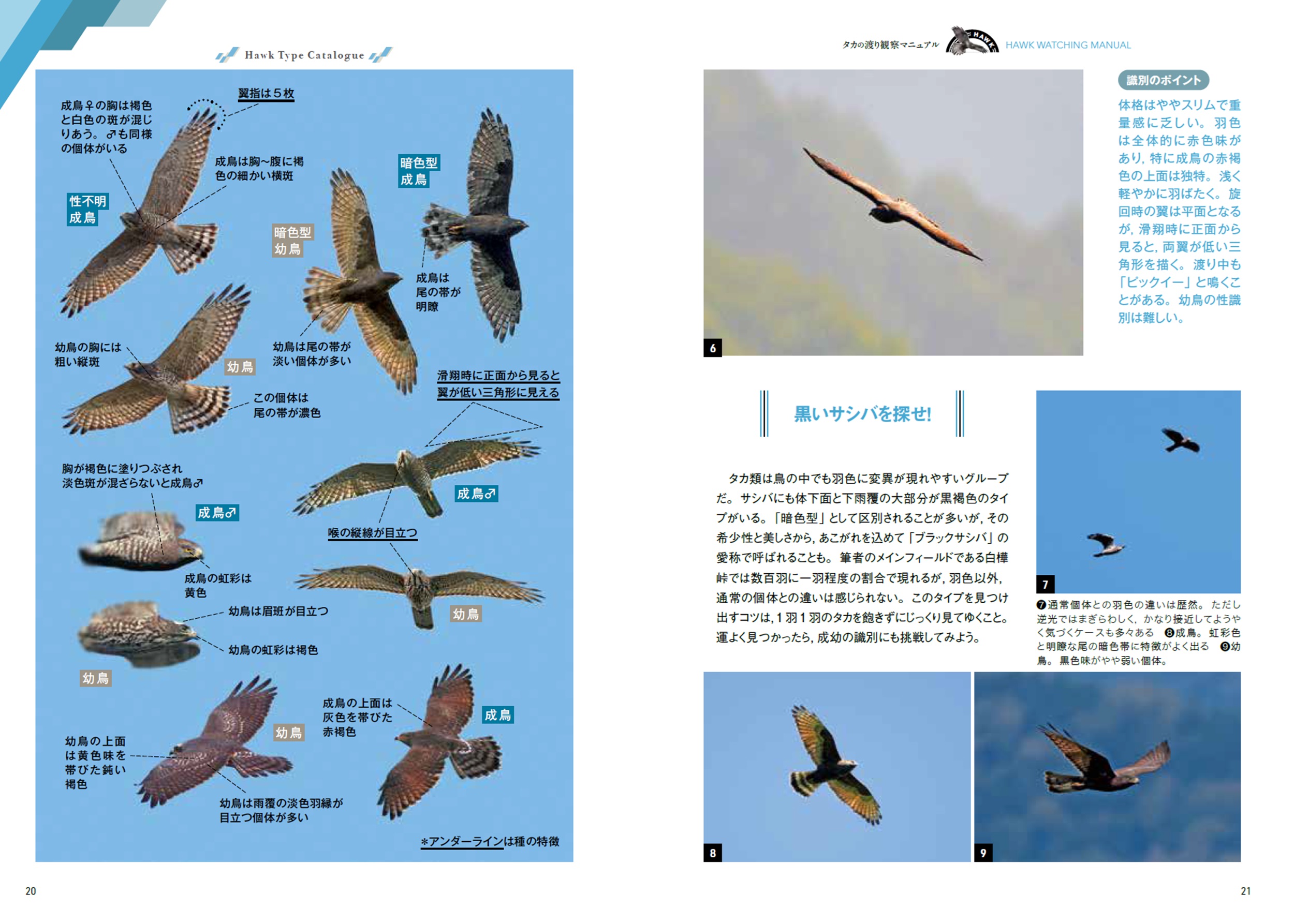 サムネイル画像5