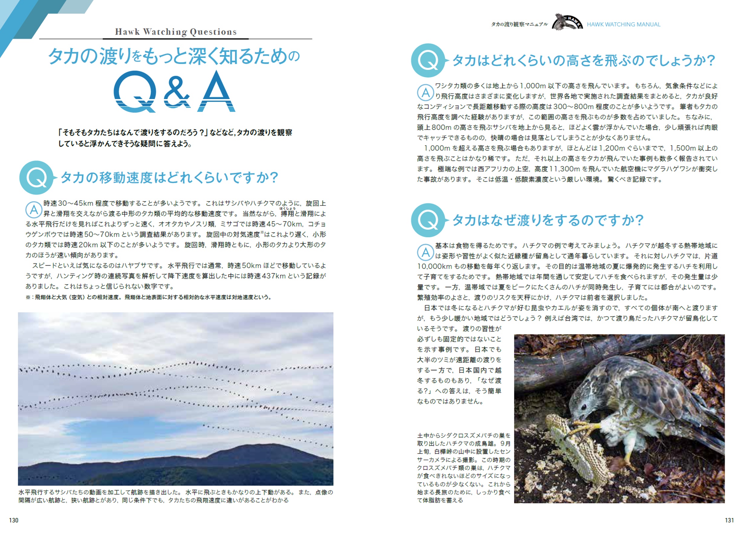 サムネイル画像8