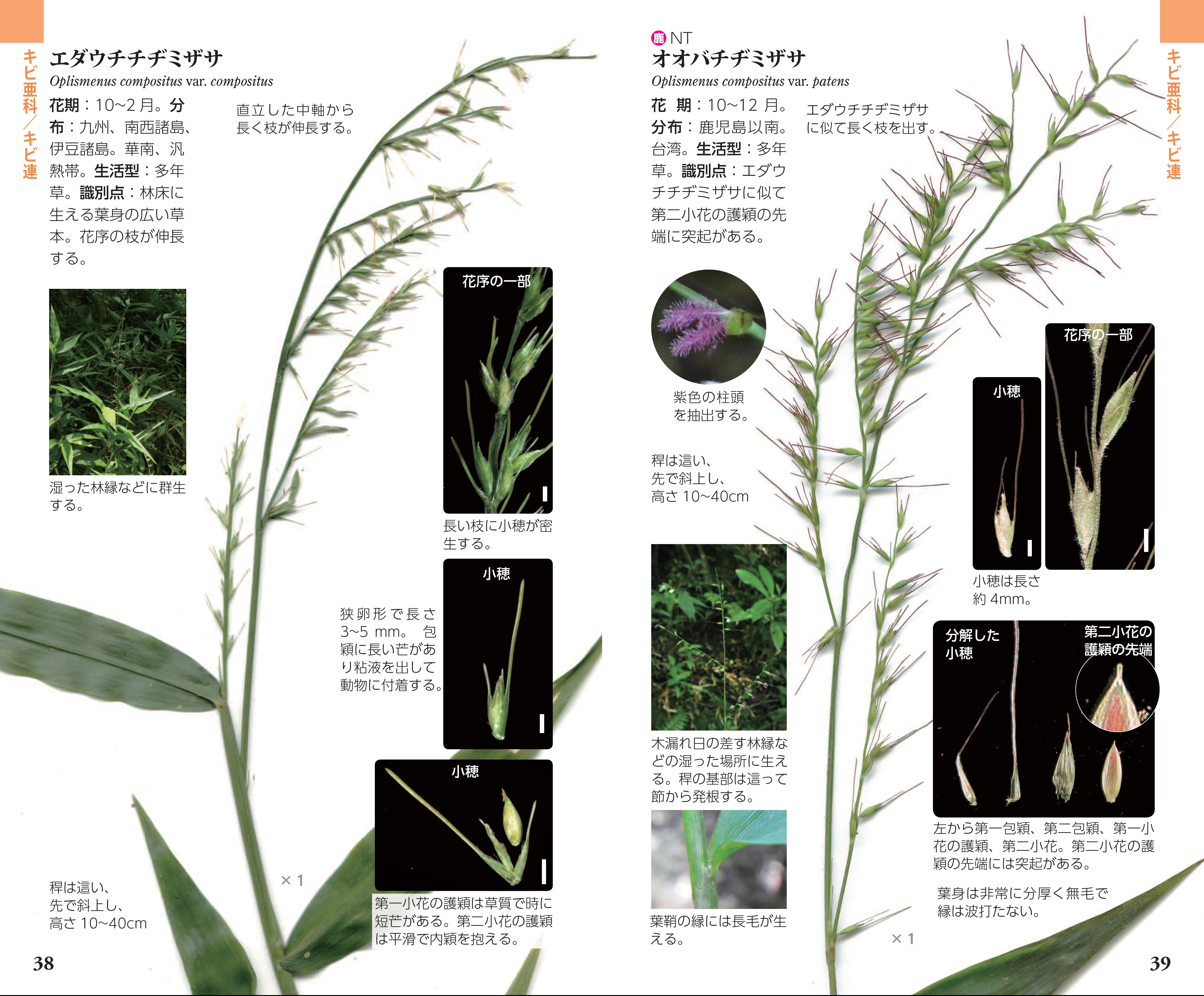 サムネイル画像1