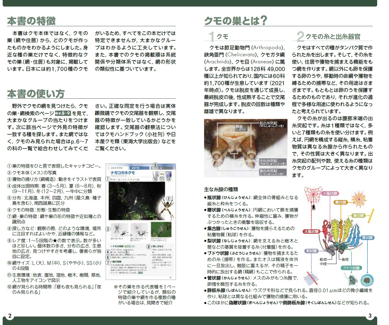 サムネイル画像1