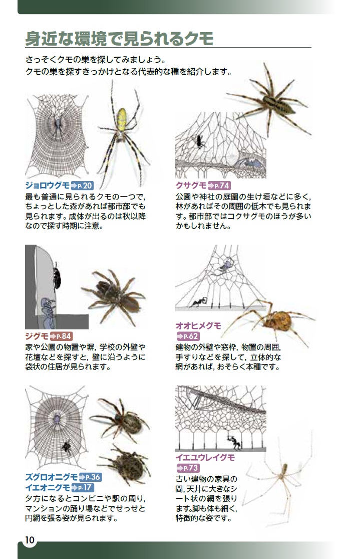 サムネイル画像4