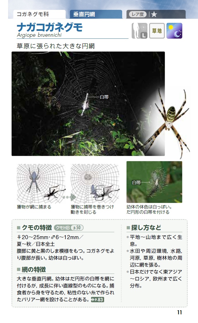 サムネイル画像5