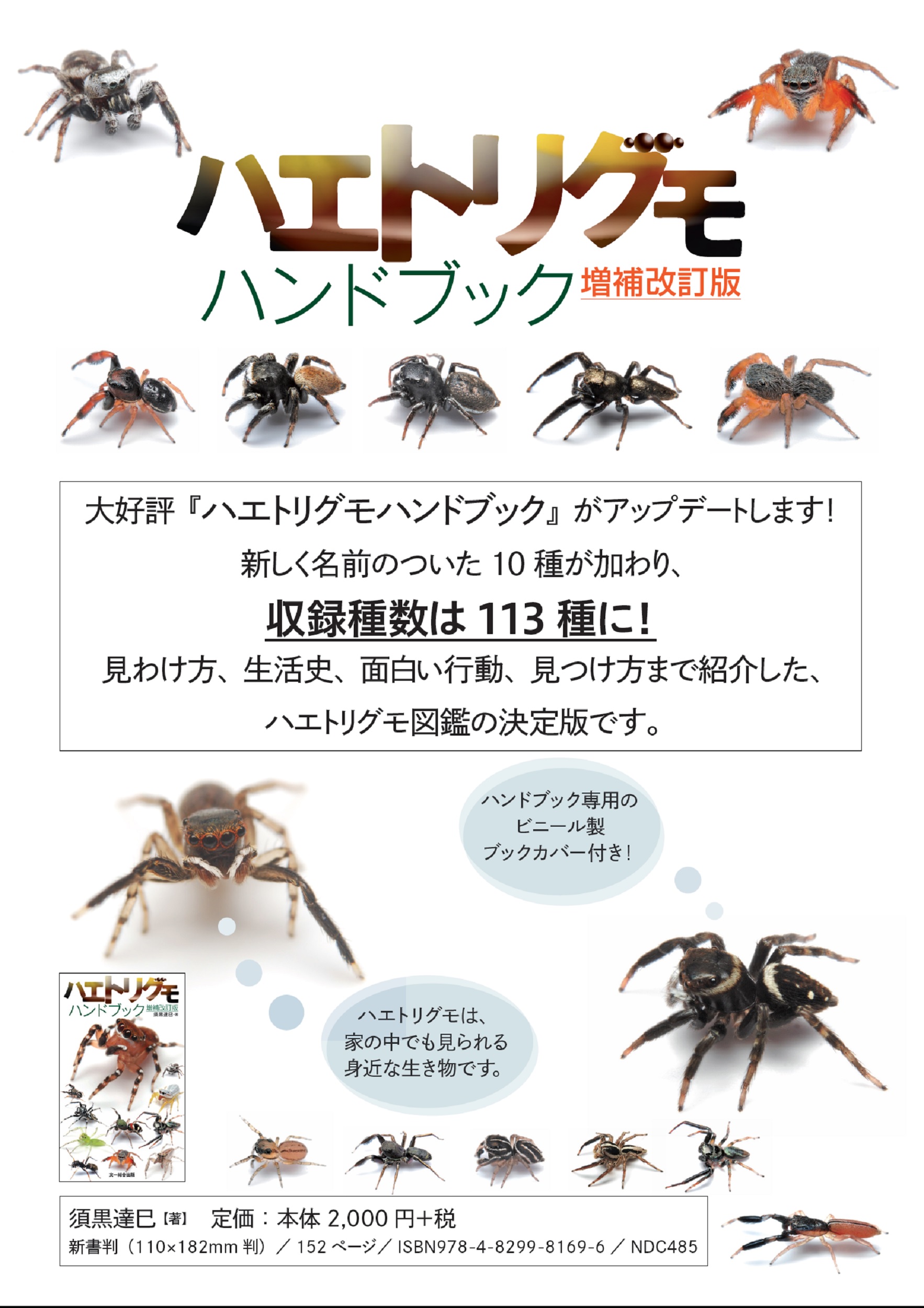 サムネイル画像1