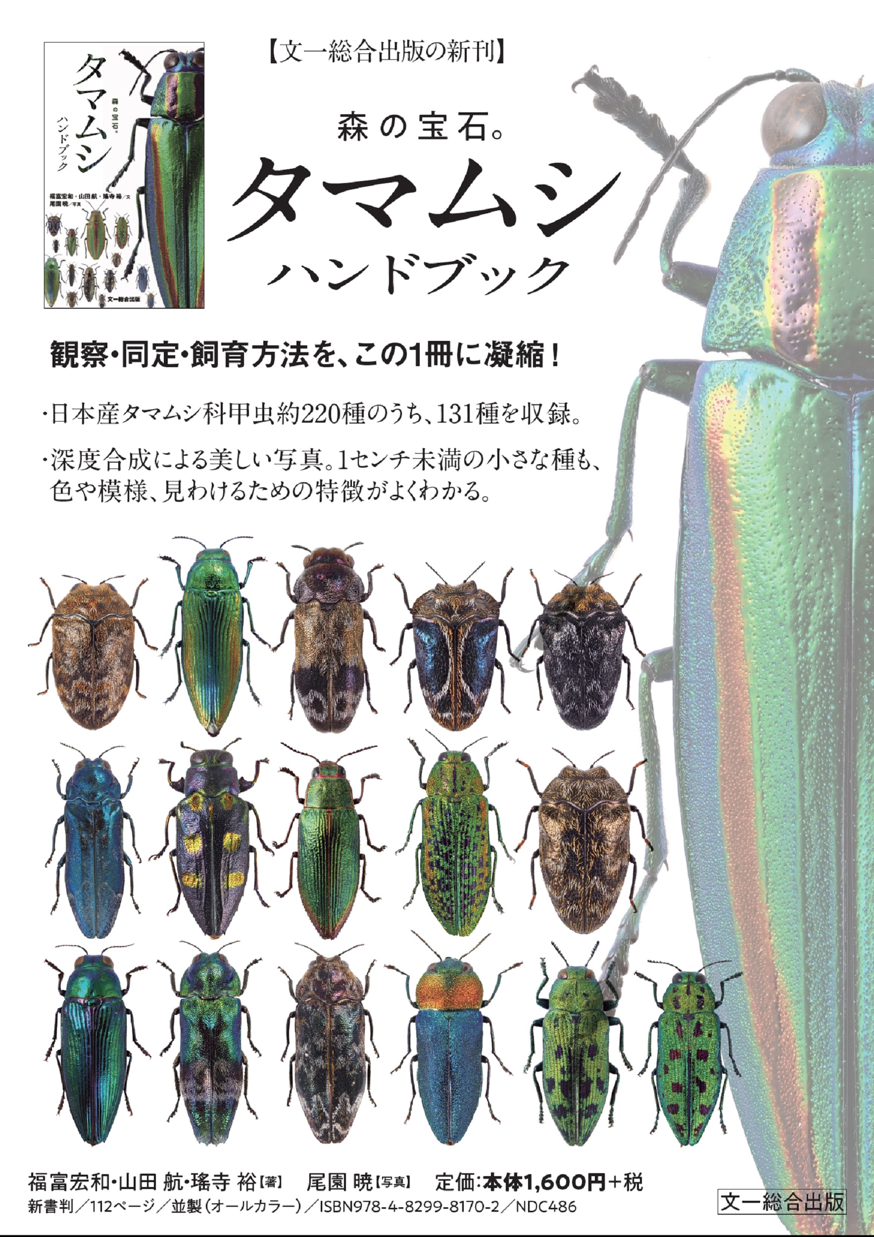 サムネイル画像1
