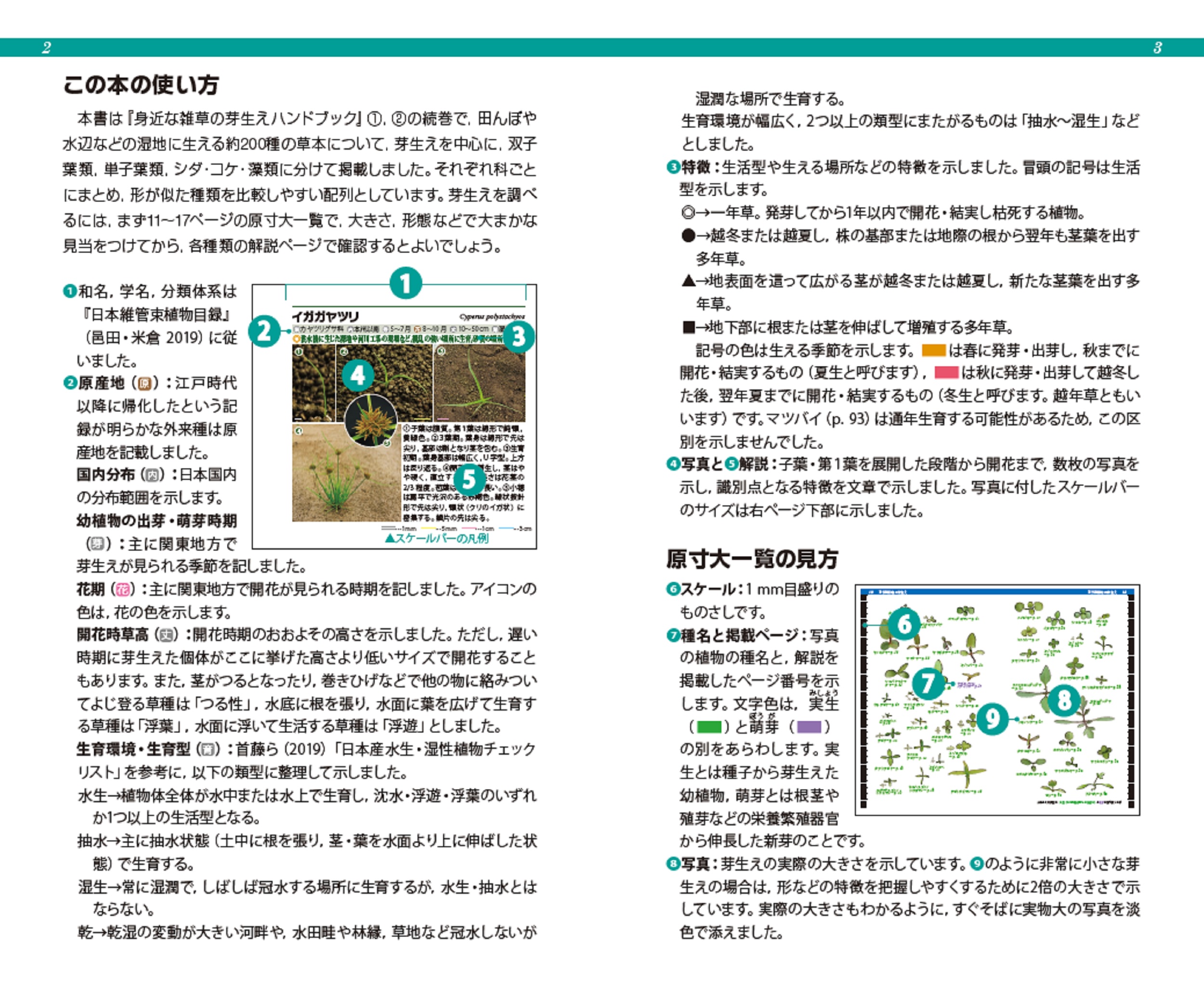 サムネイル画像1