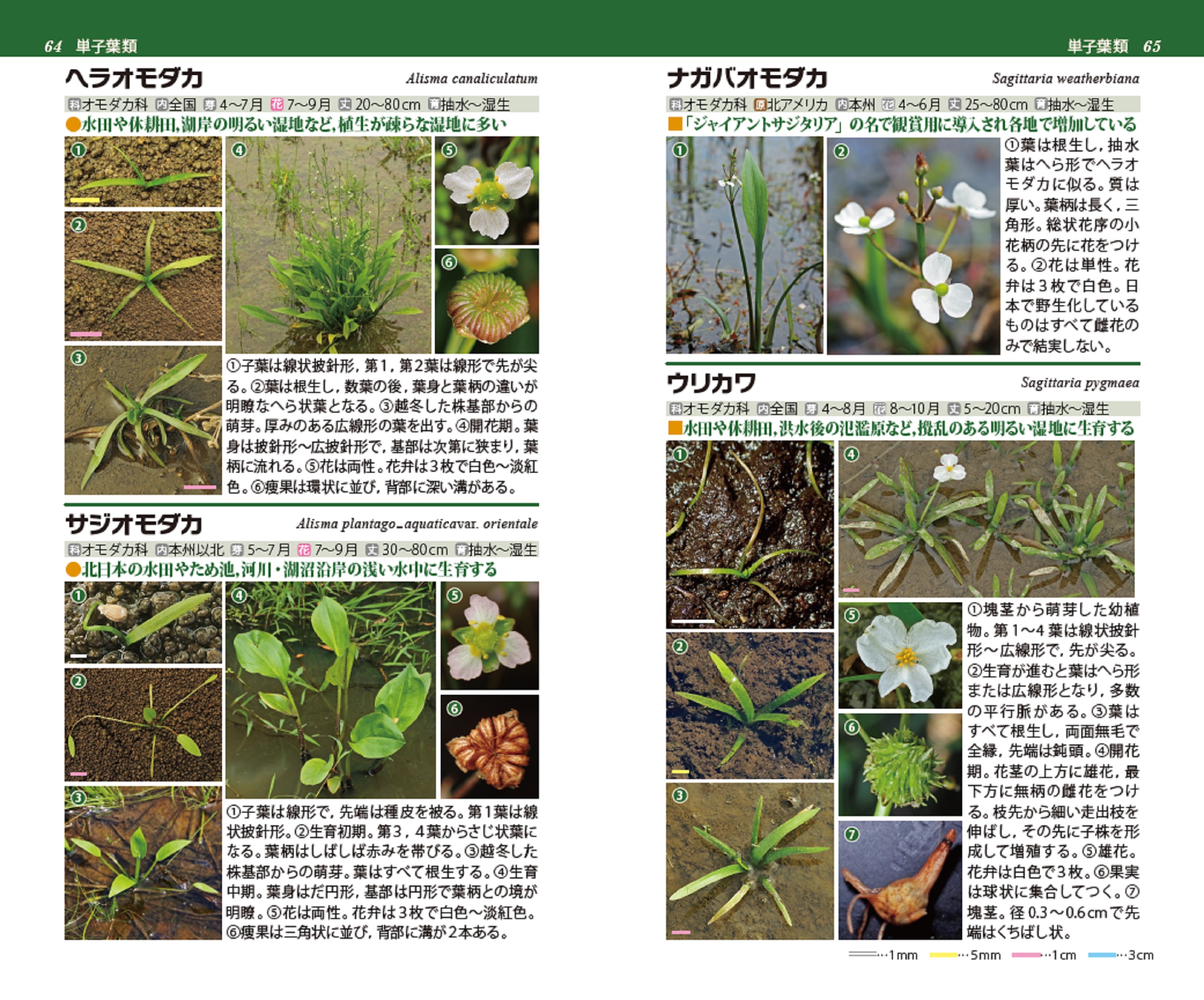 サムネイル画像4