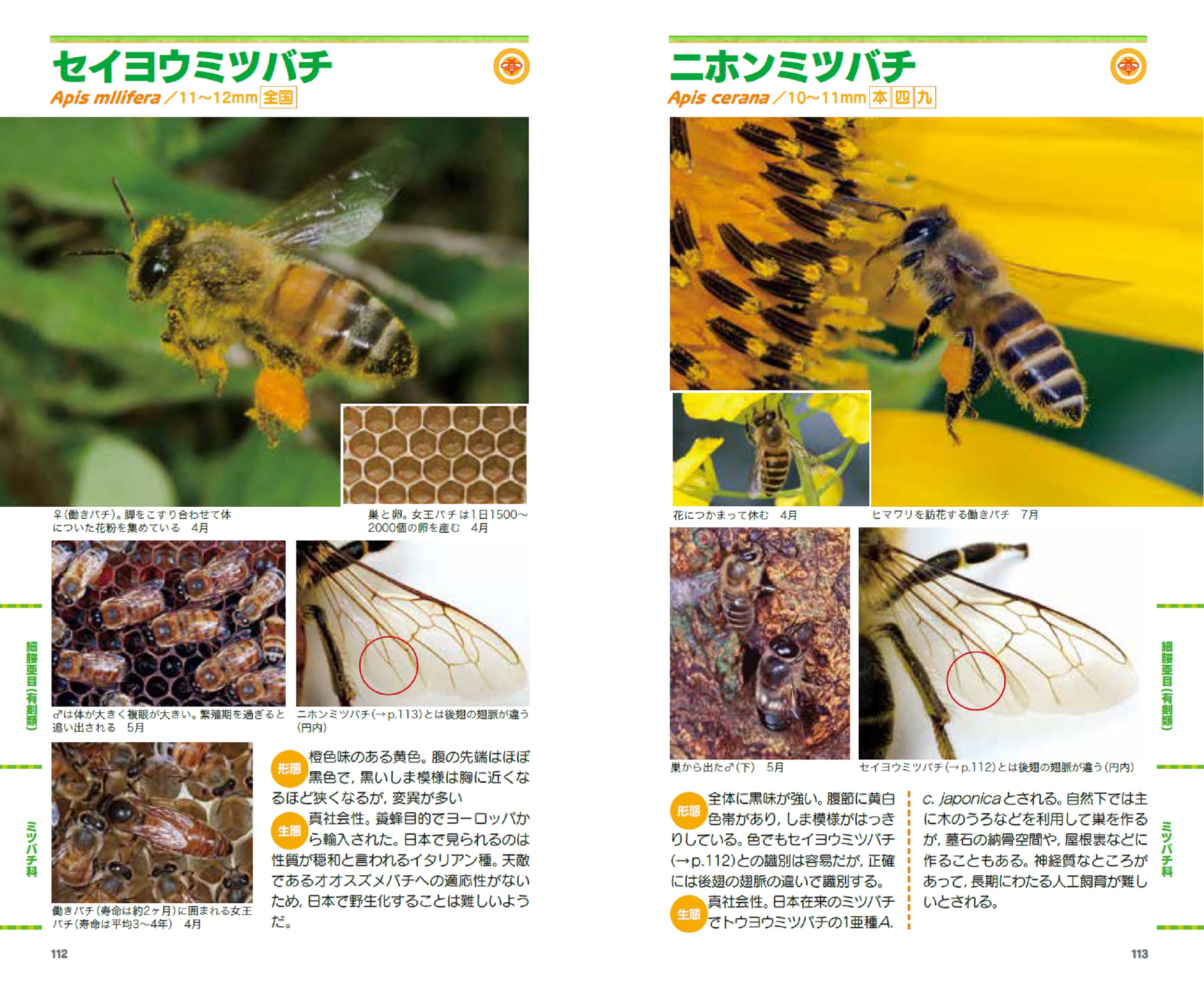 サムネイル画像2