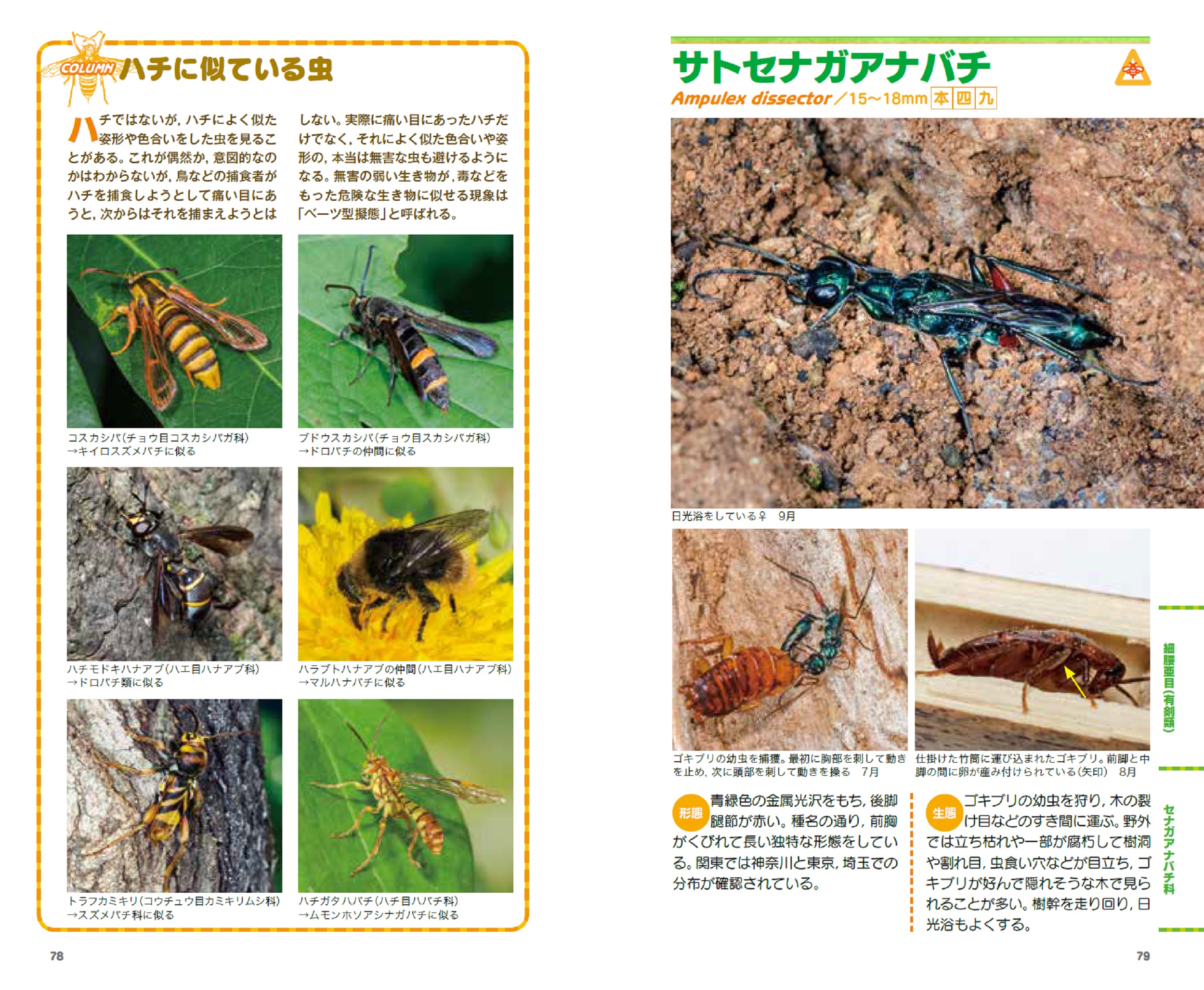 サムネイル画像3