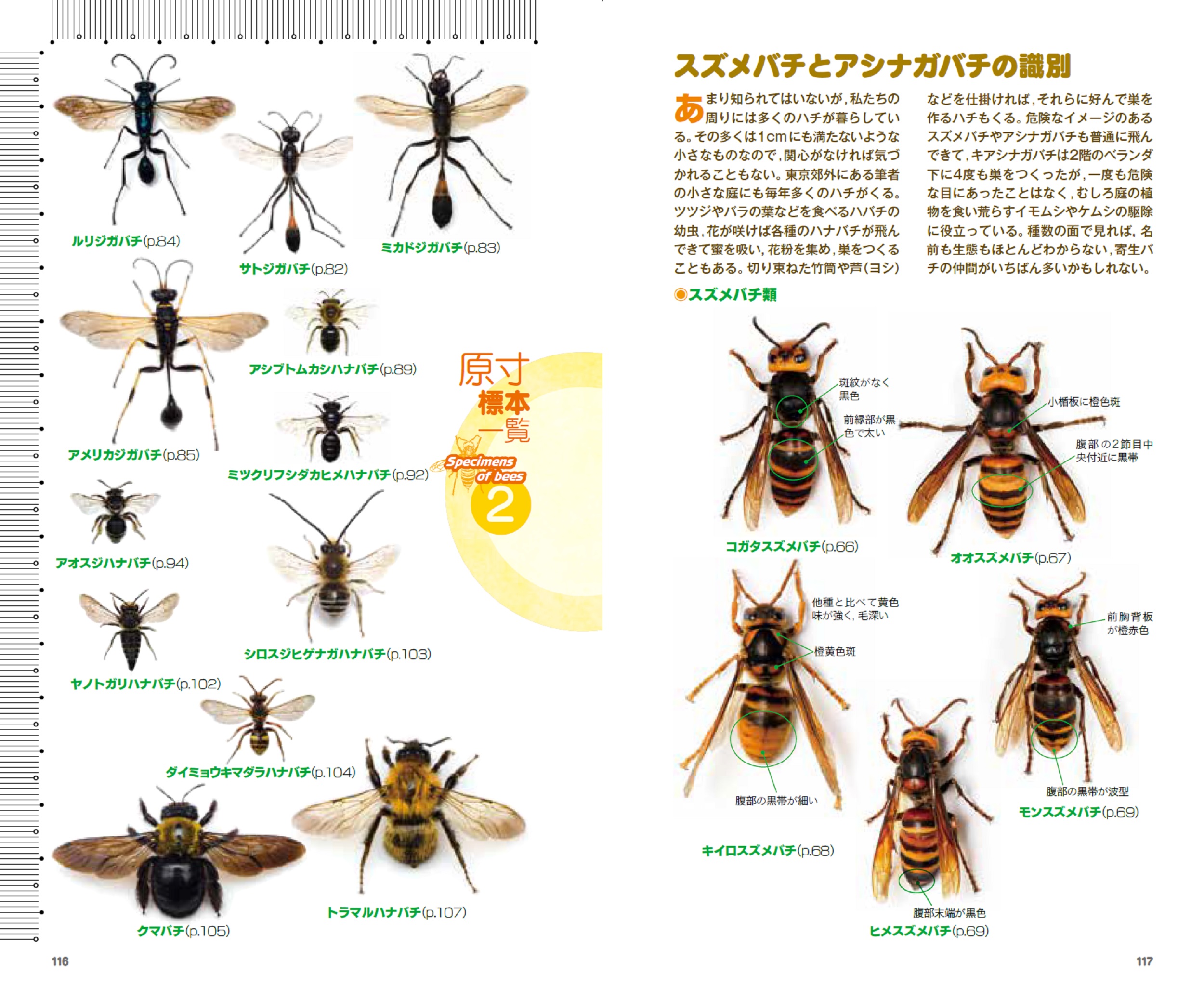 サムネイル画像4