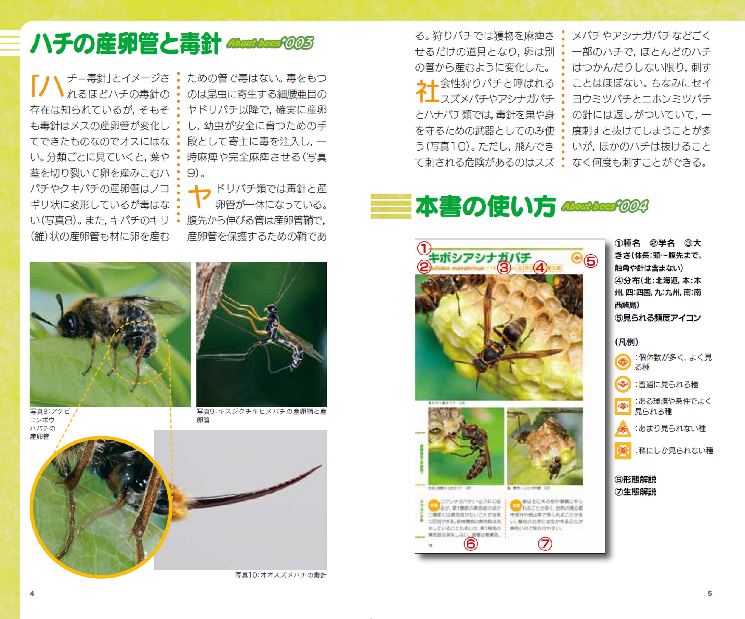 サムネイル画像5