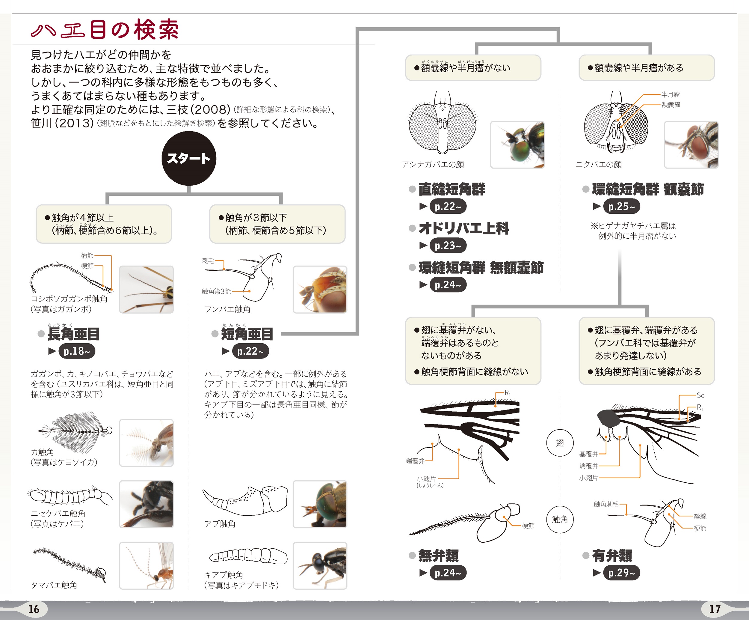 サムネイル画像2