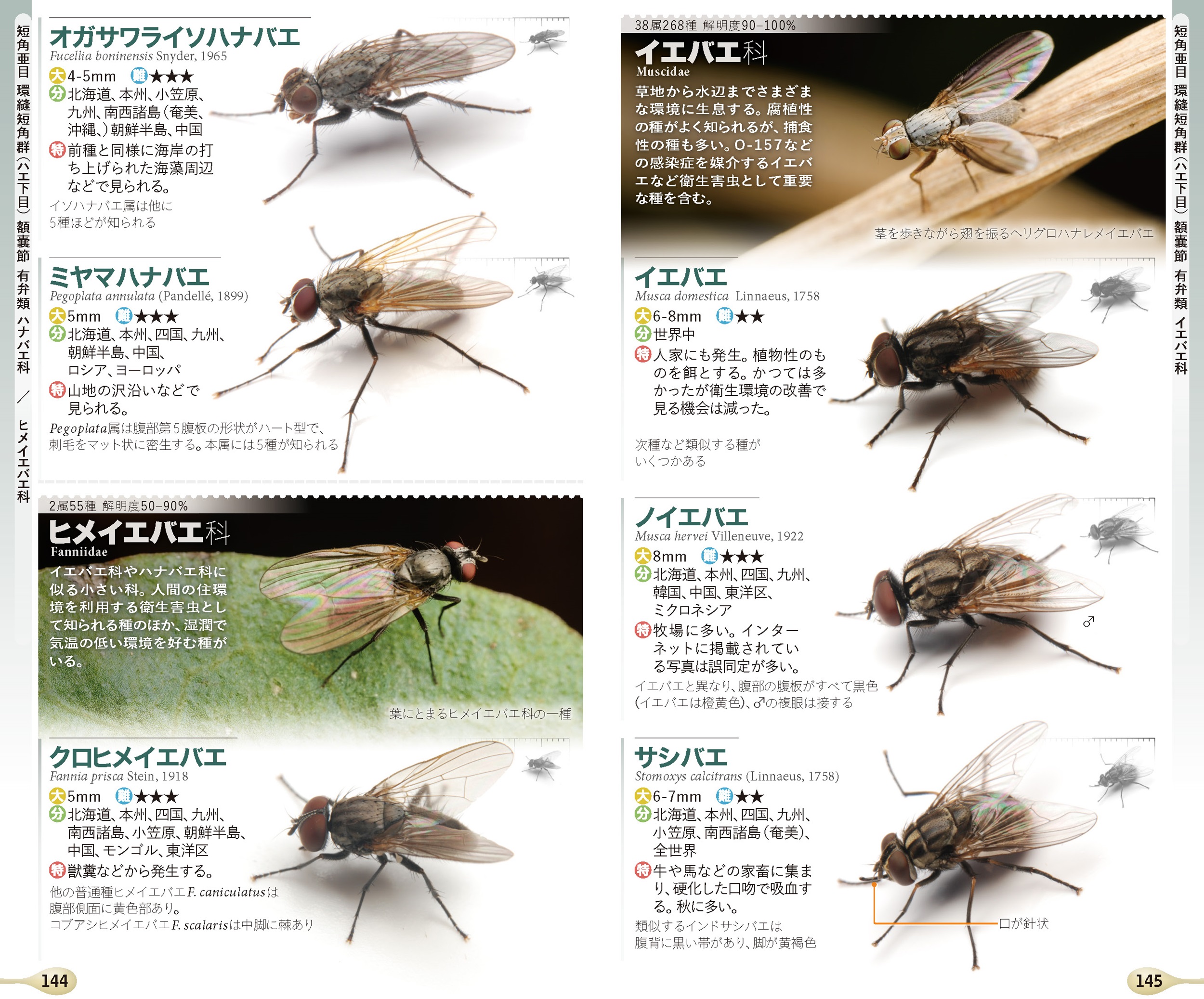 サムネイル画像4