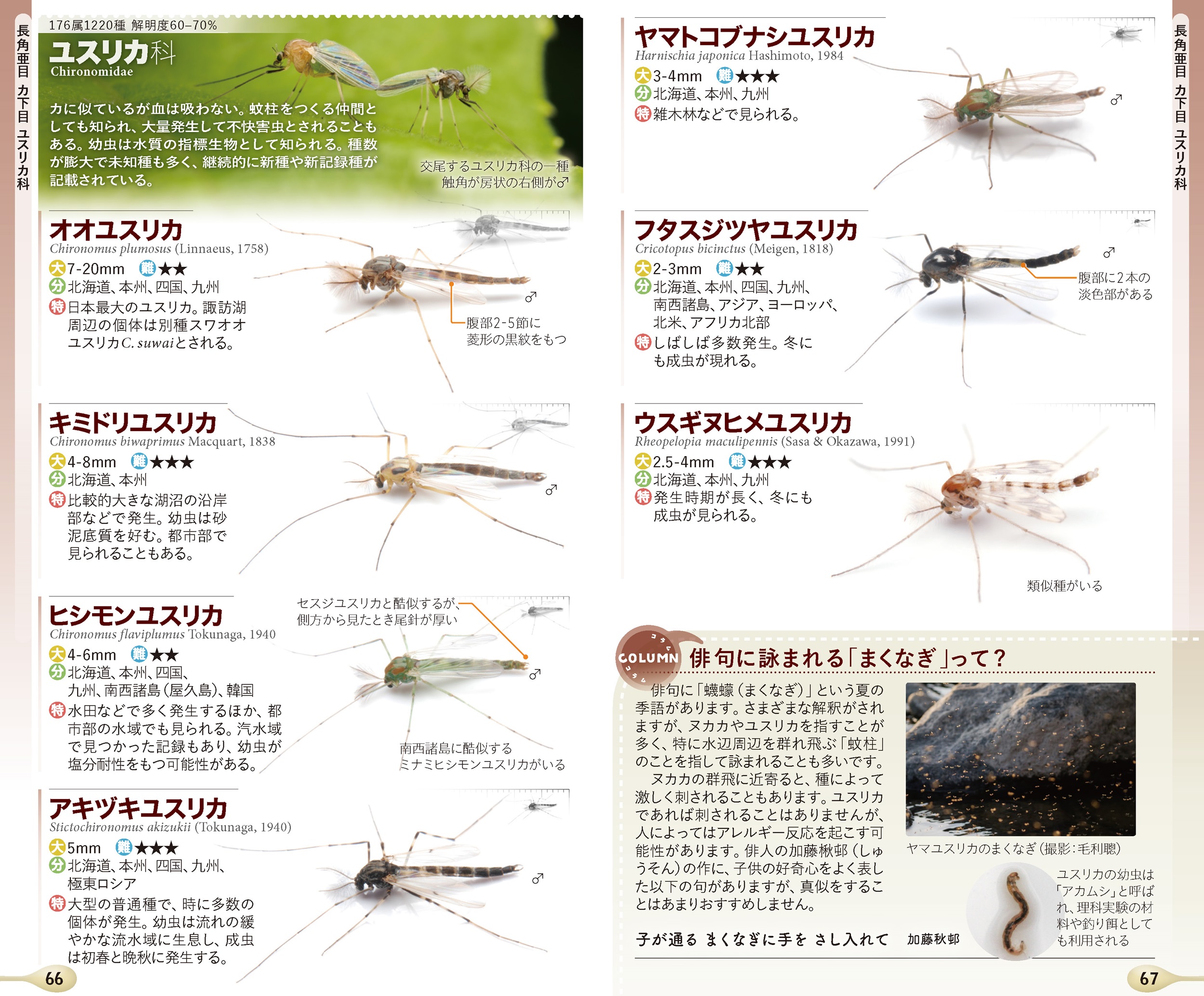 サムネイル画像5