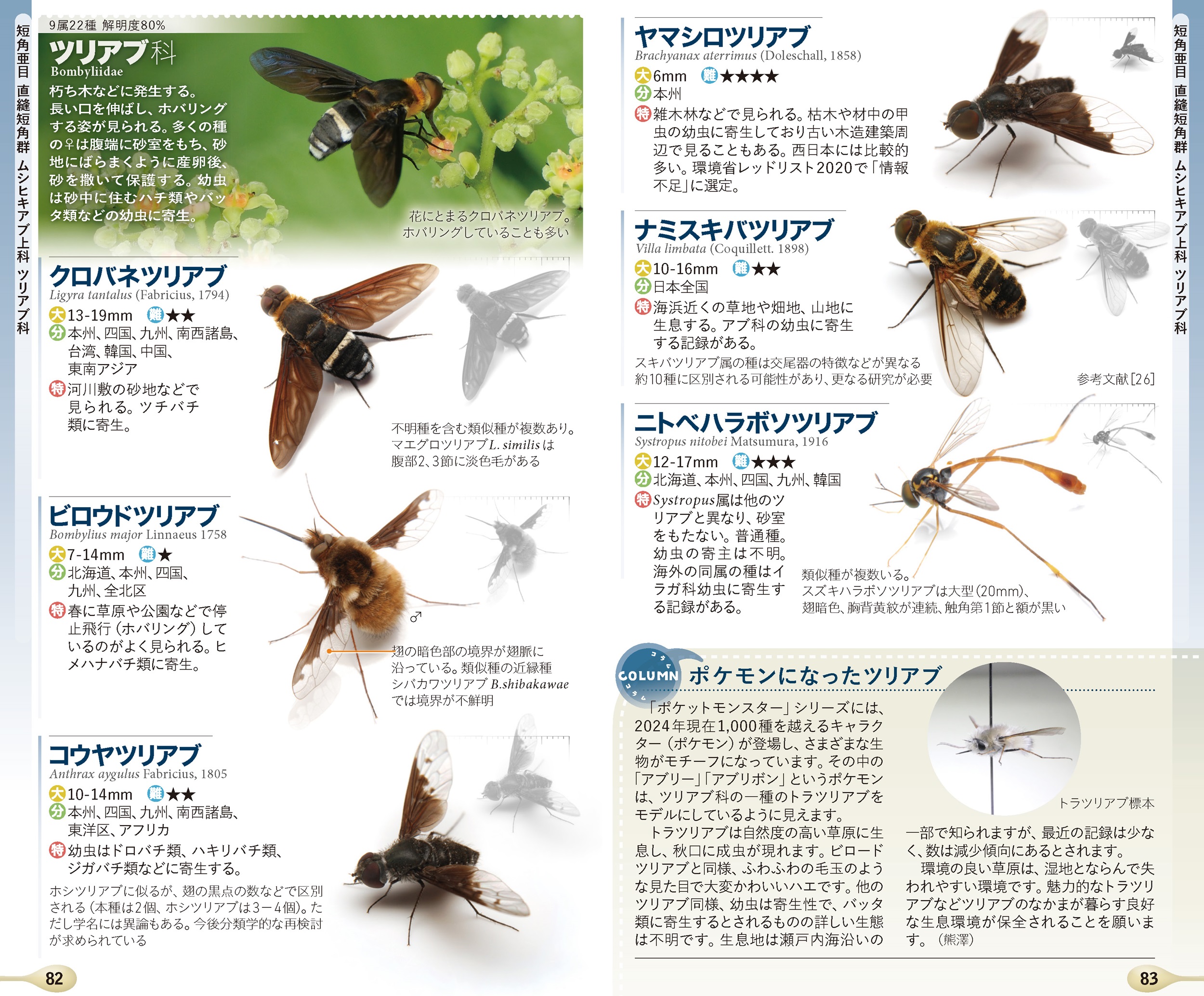 サムネイル画像6