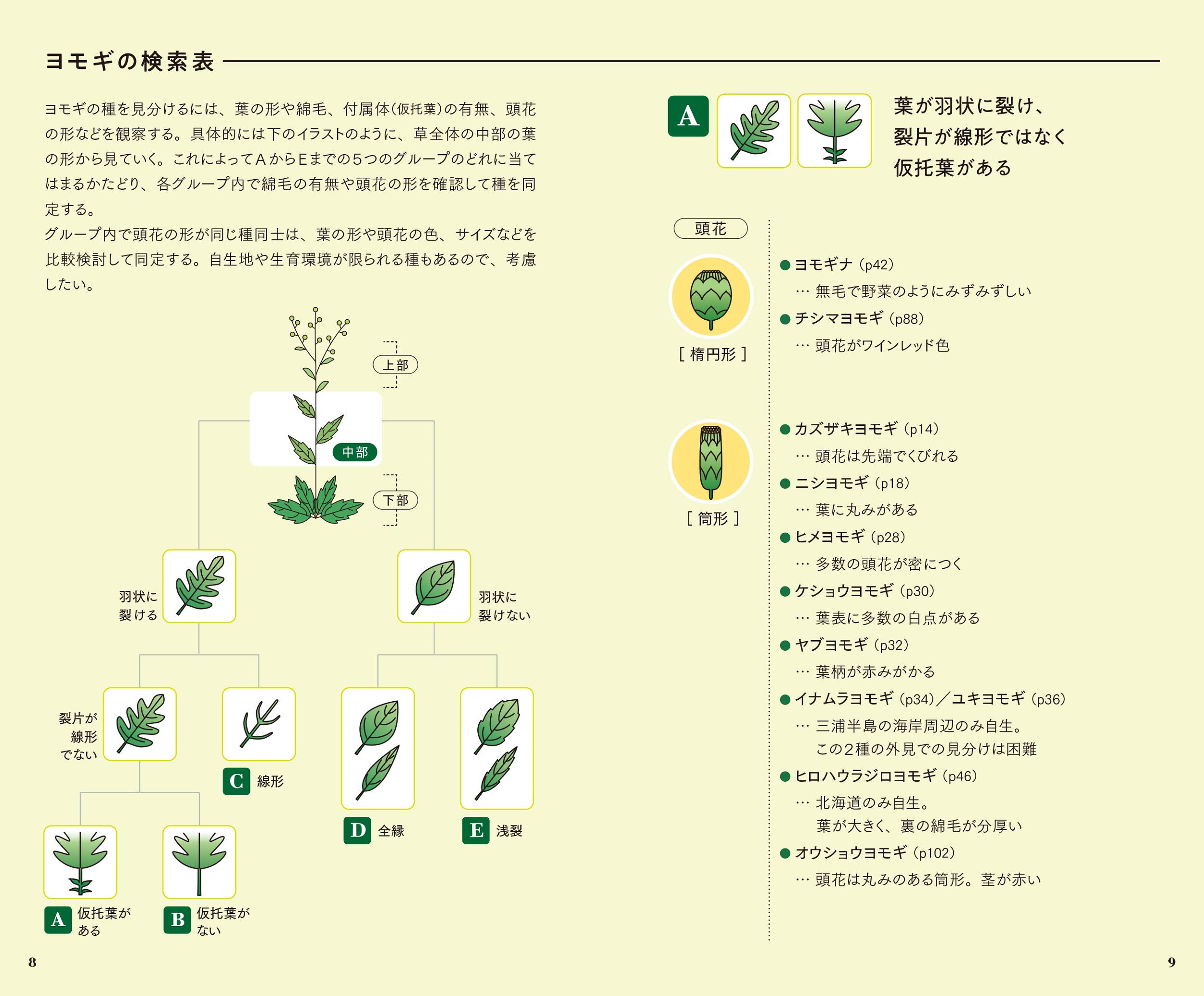 サムネイル画像3
