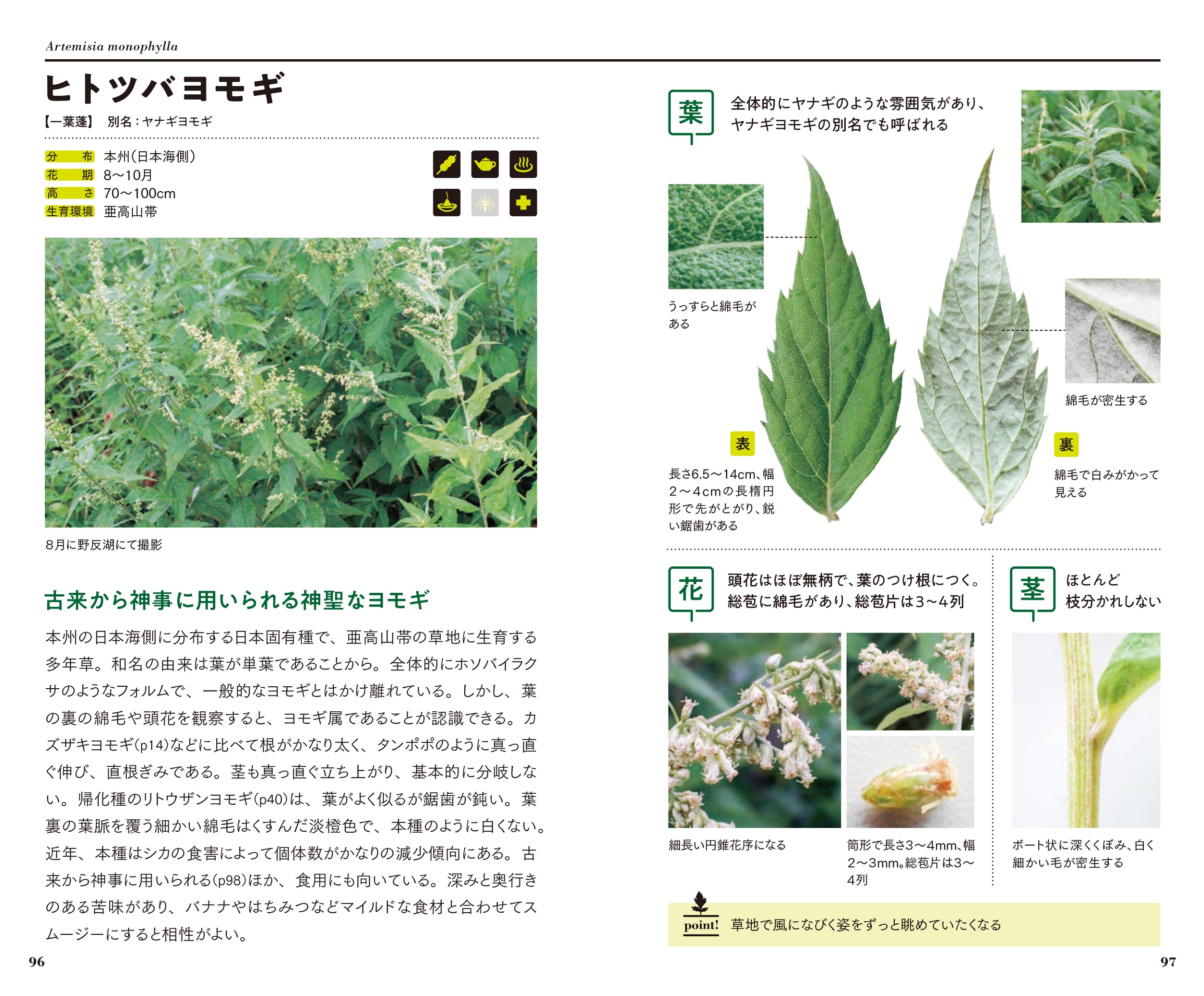 サムネイル画像4