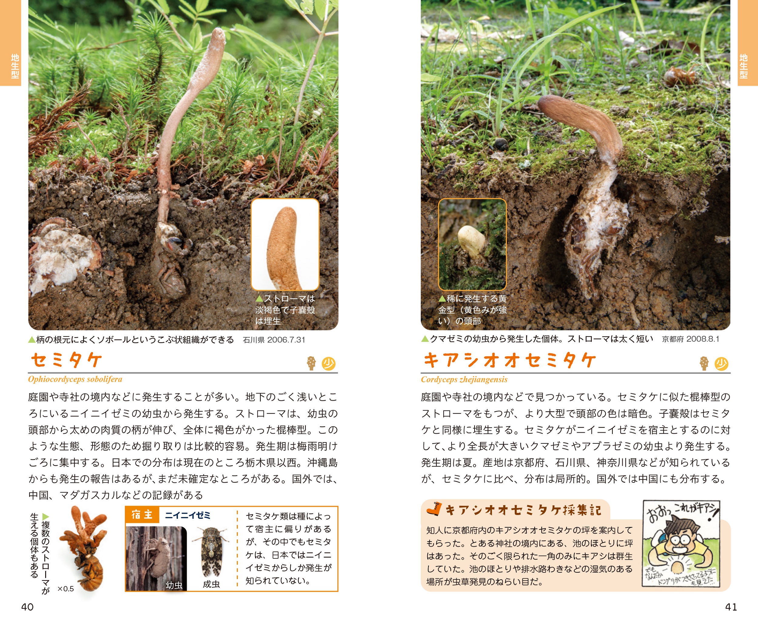 サムネイル画像3