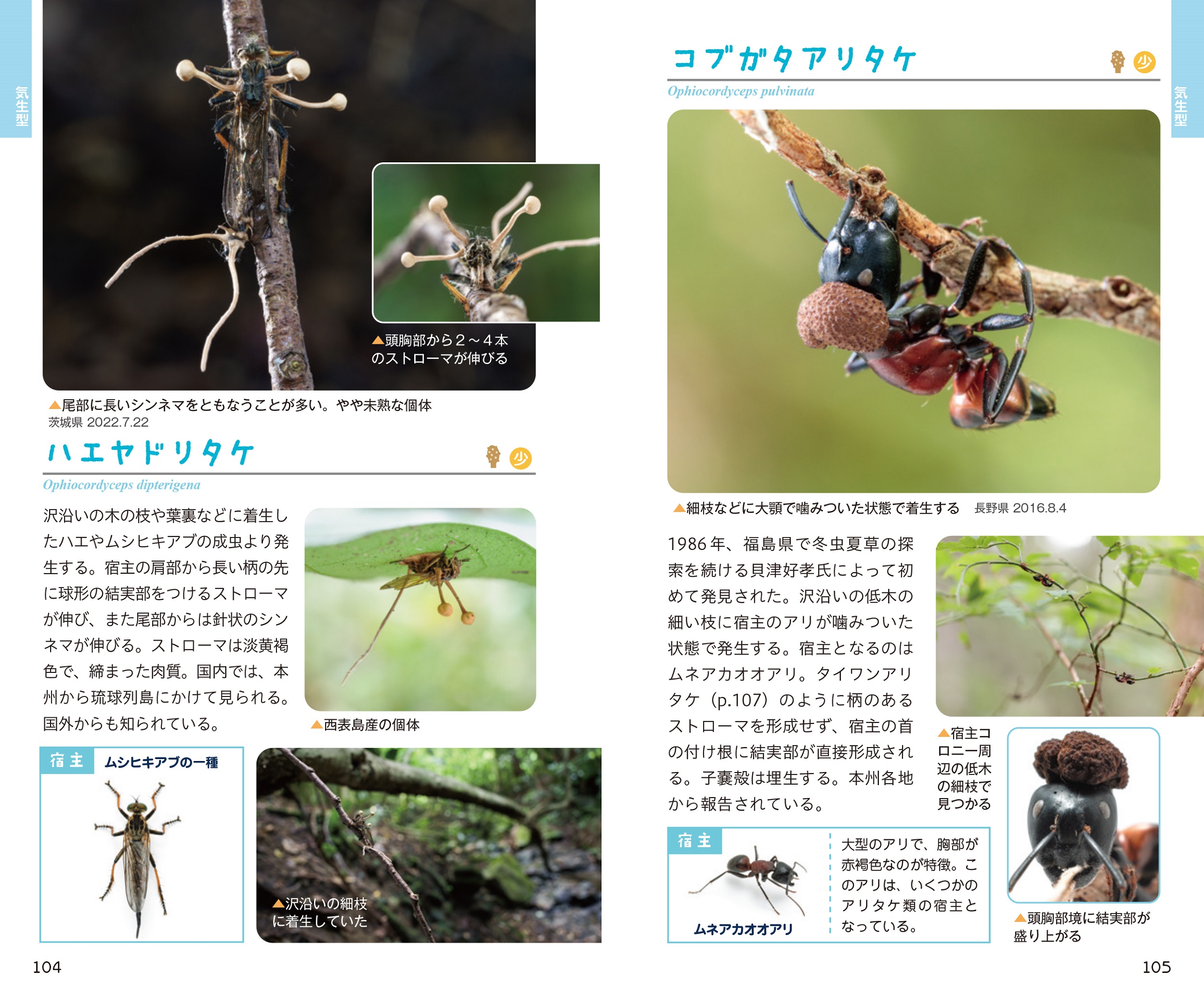 サムネイル画像4