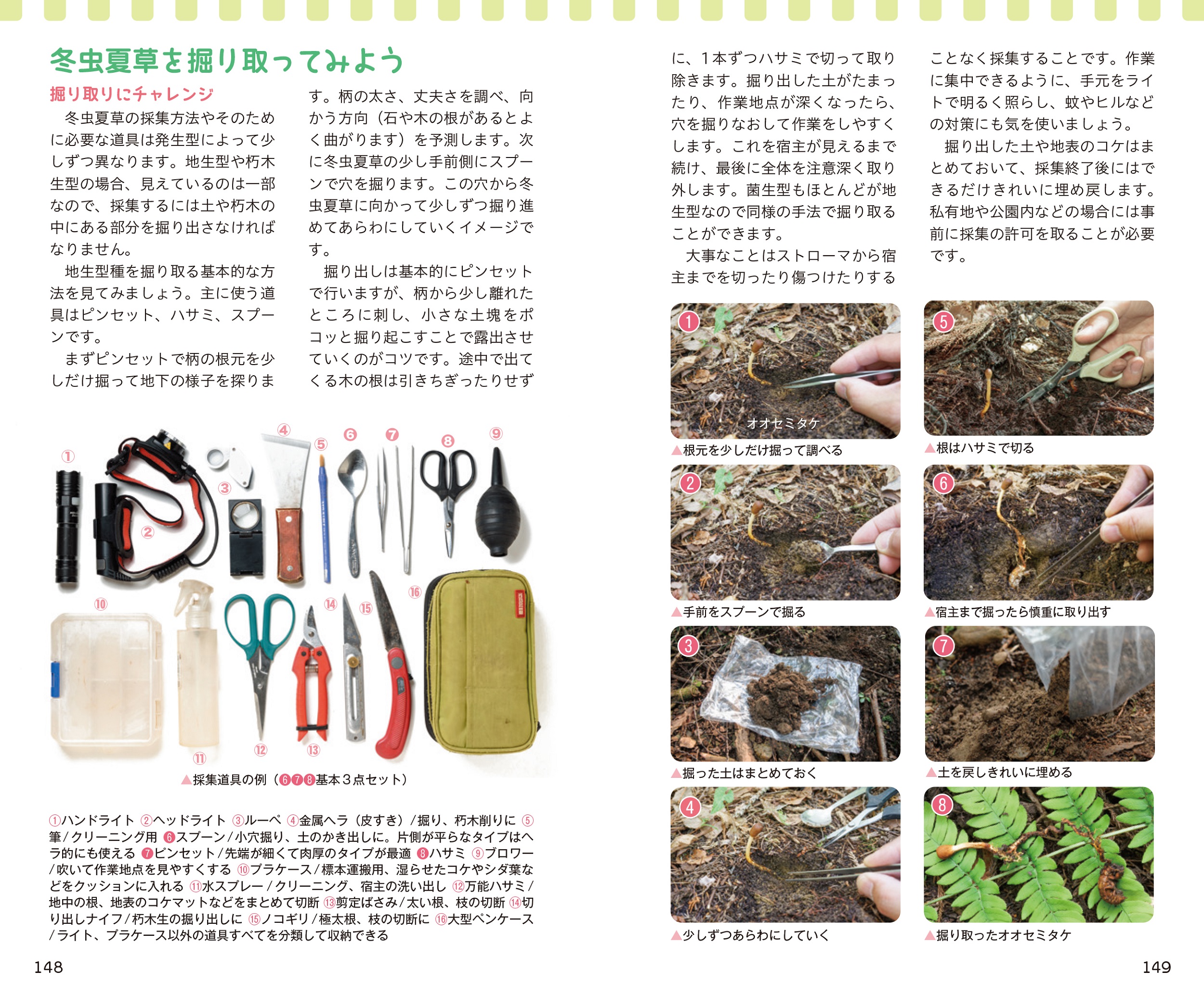 サムネイル画像5