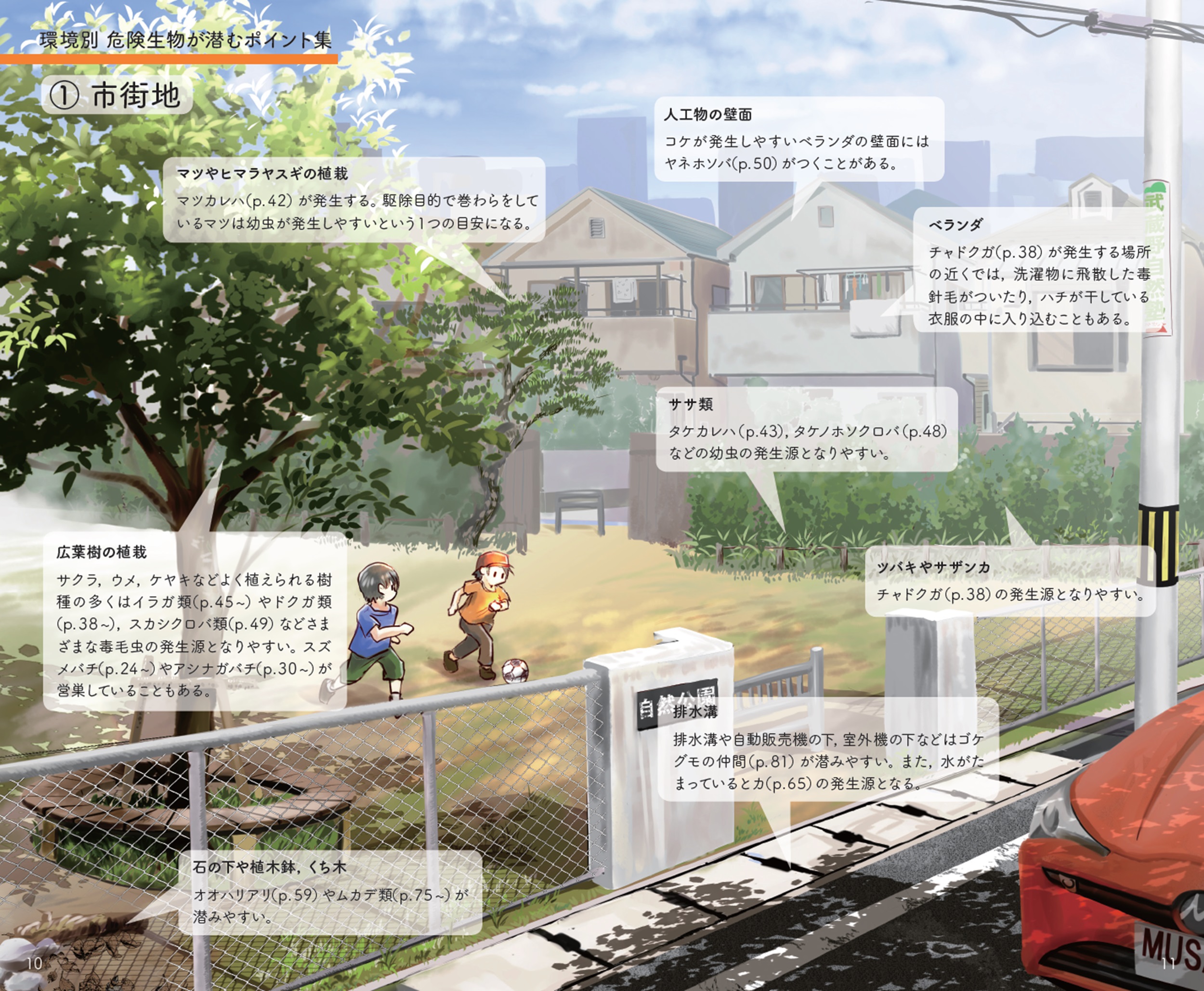 サムネイル画像2