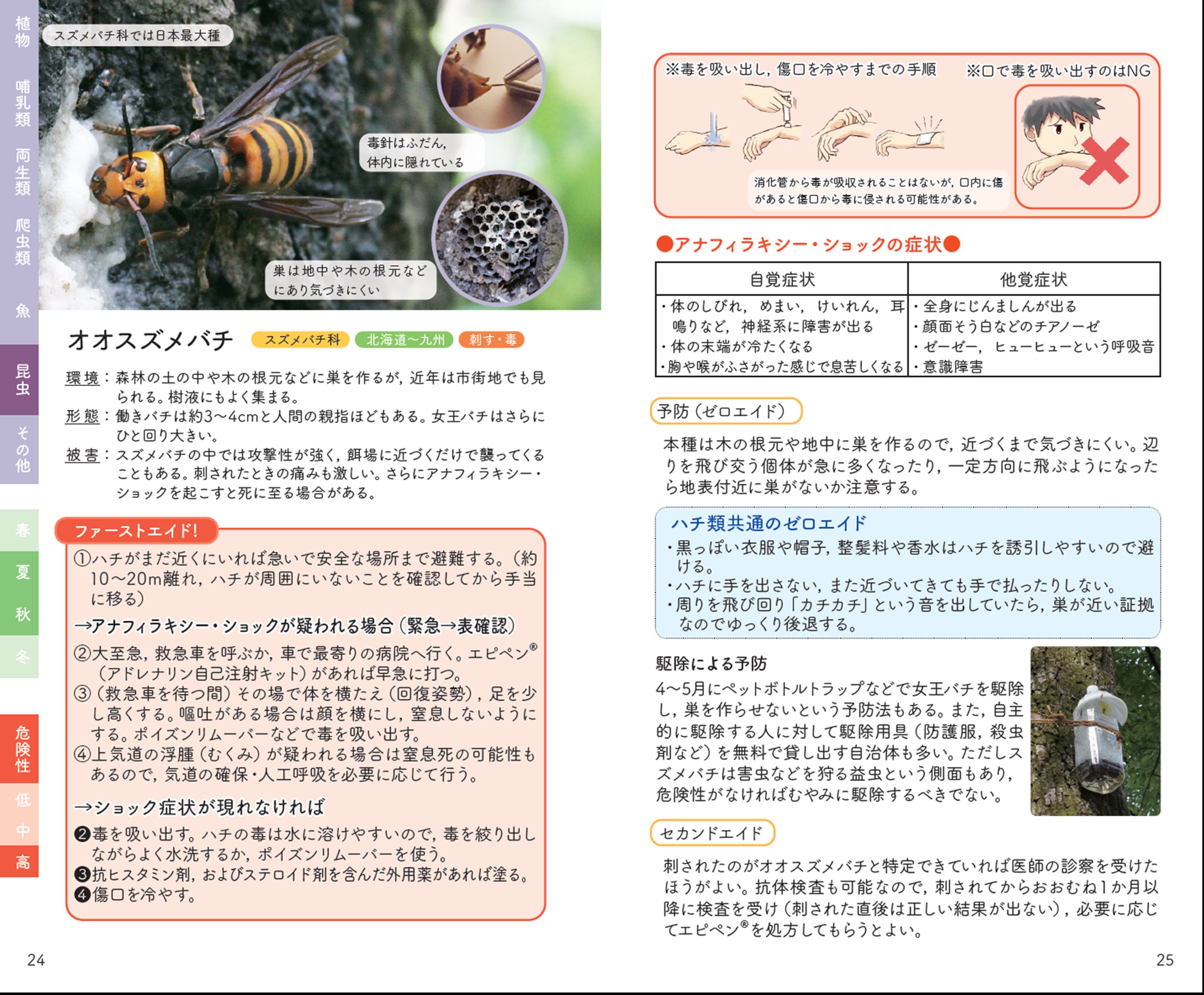 サムネイル画像5