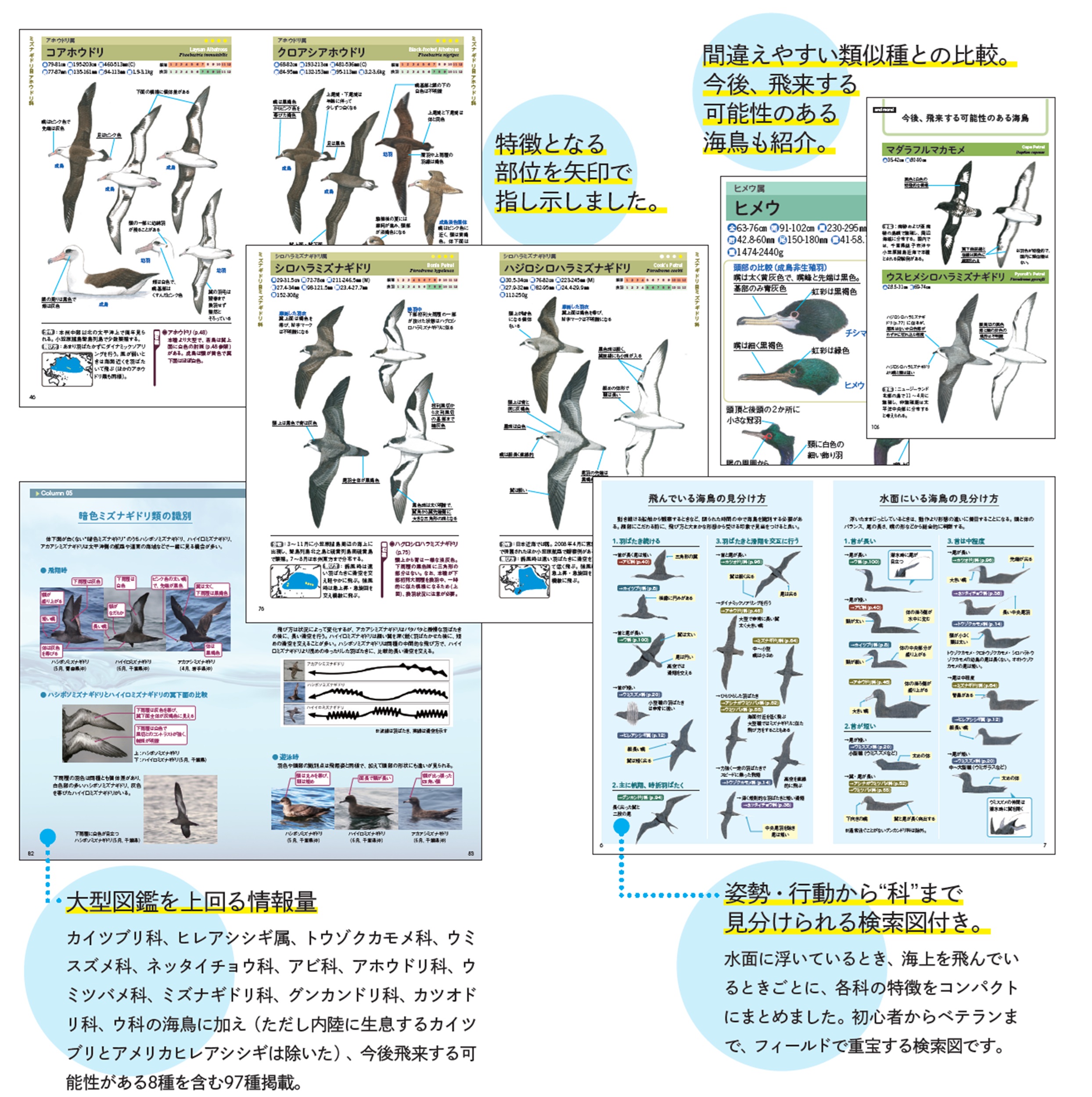 サムネイル画像2