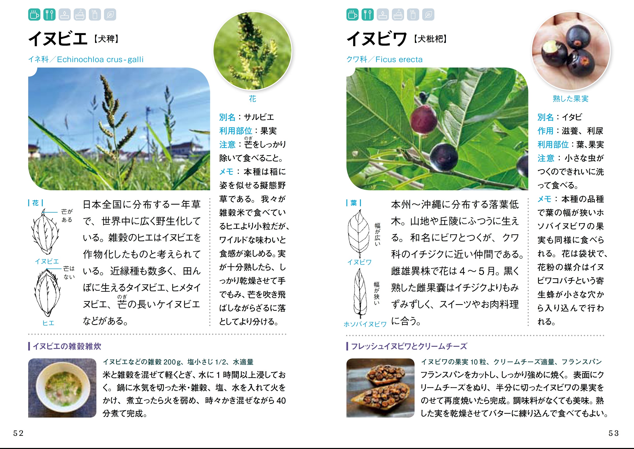 サムネイル画像4
