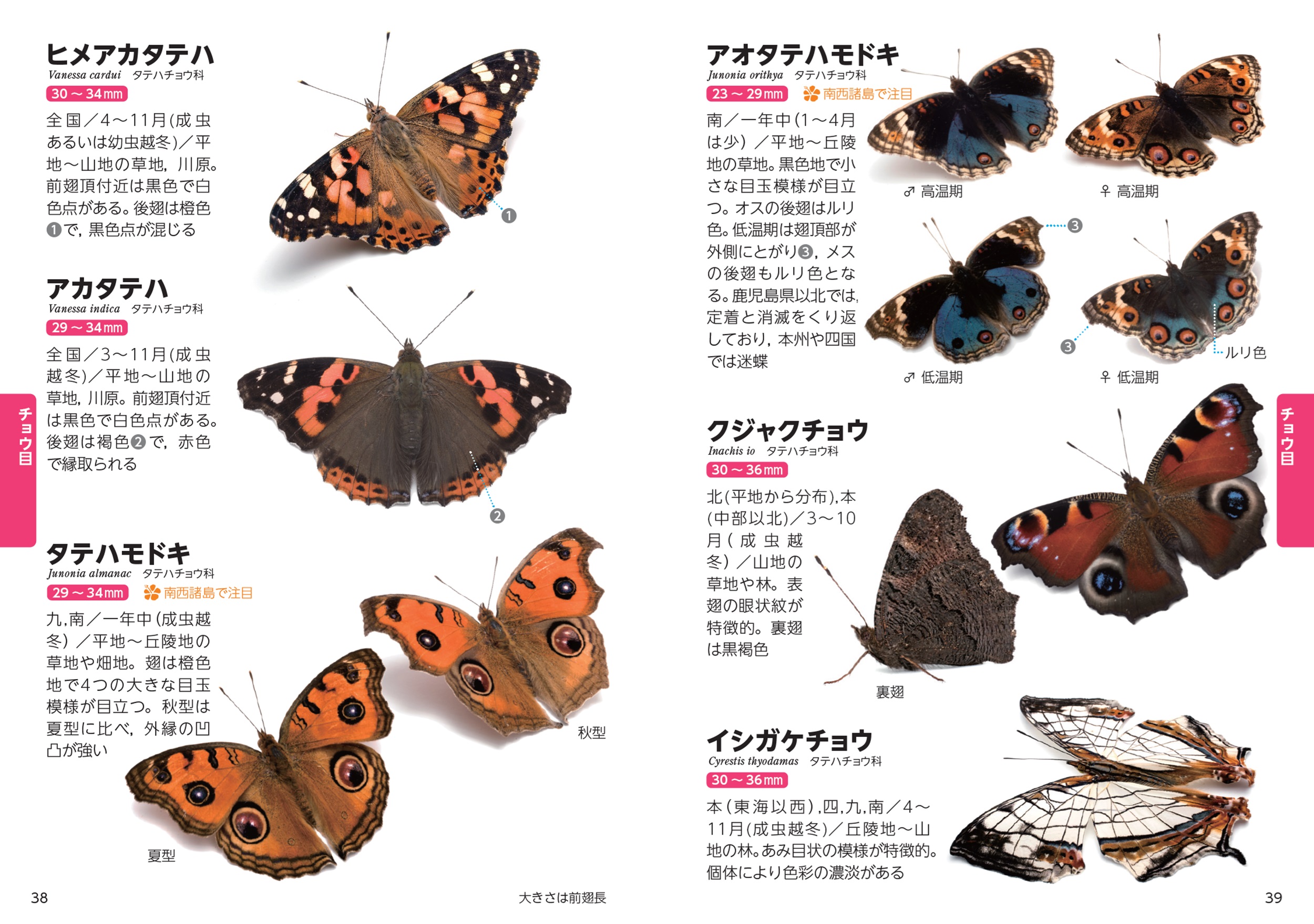 サムネイル画像2