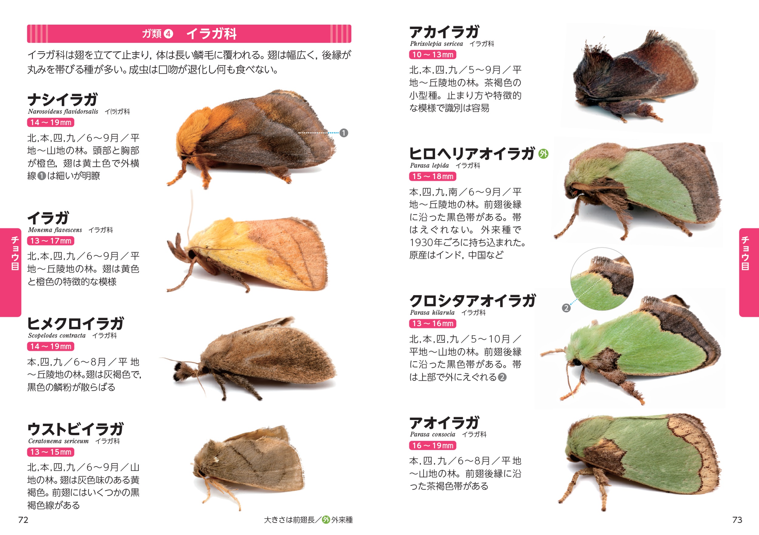 サムネイル画像3