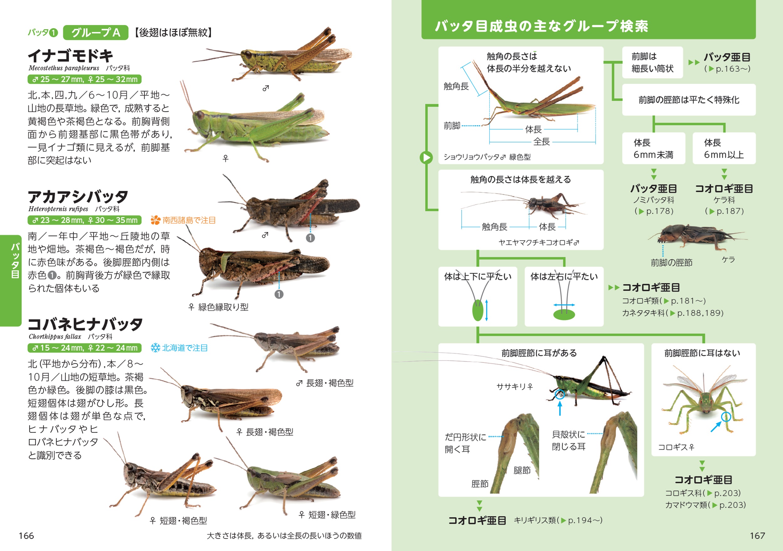 サムネイル画像4
