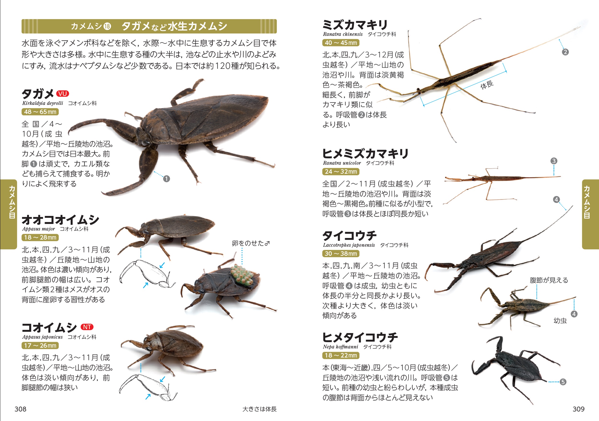 サムネイル画像5