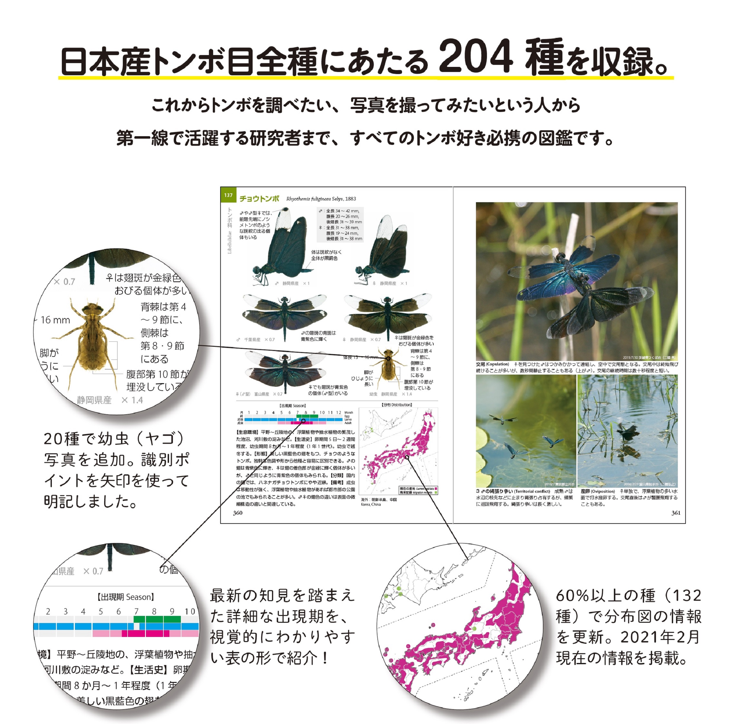 サムネイル画像2