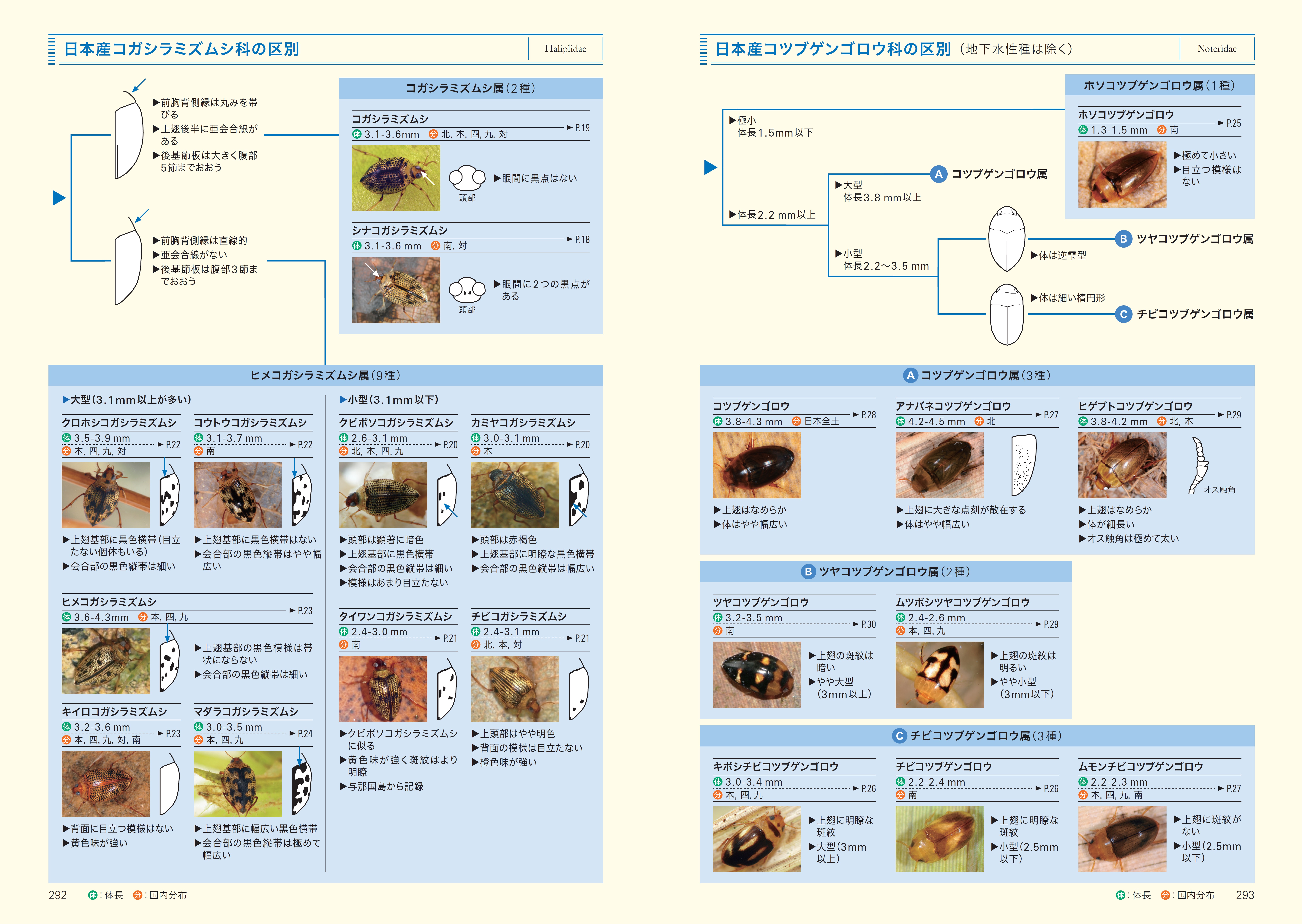 サムネイル画像2
