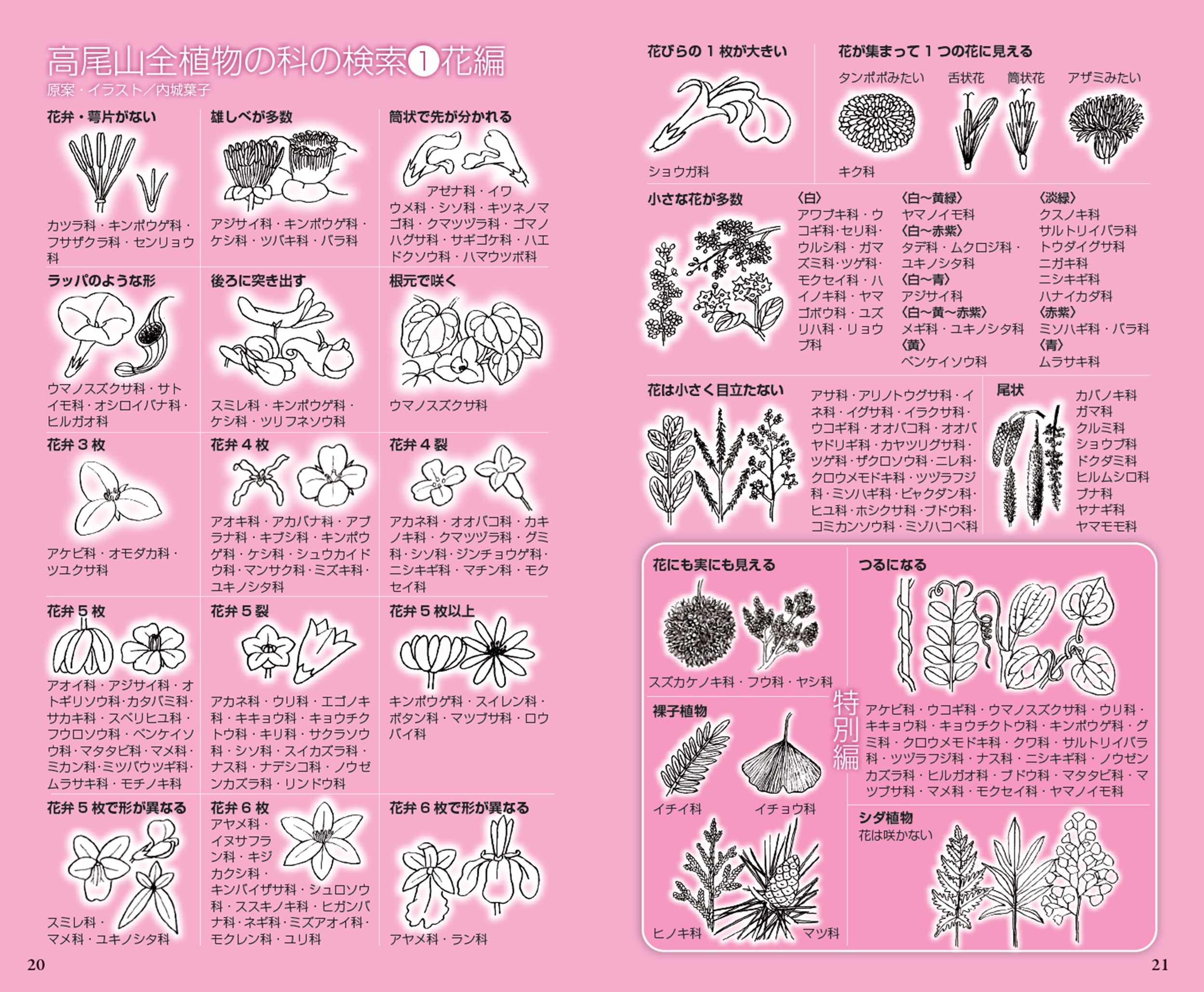 サムネイル画像4