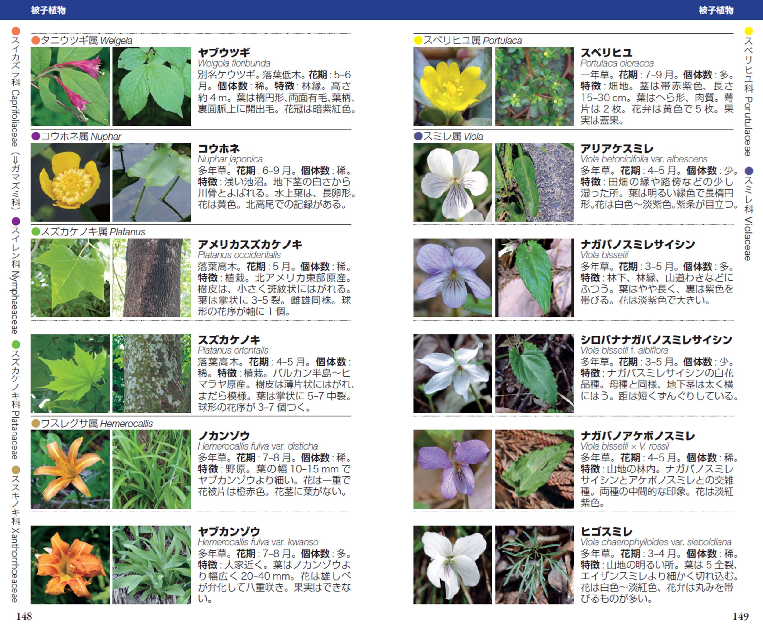 サムネイル画像6