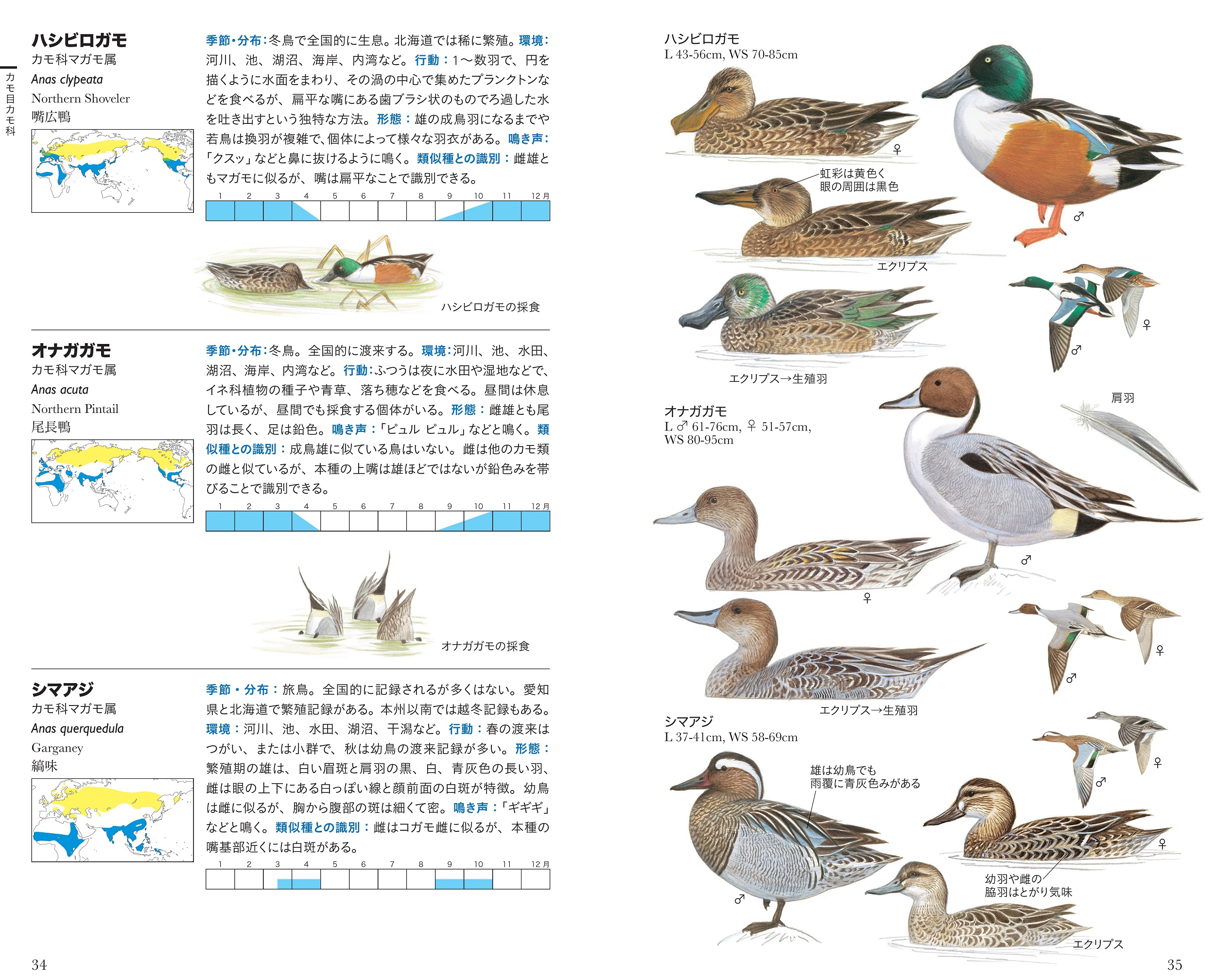 サムネイル画像2