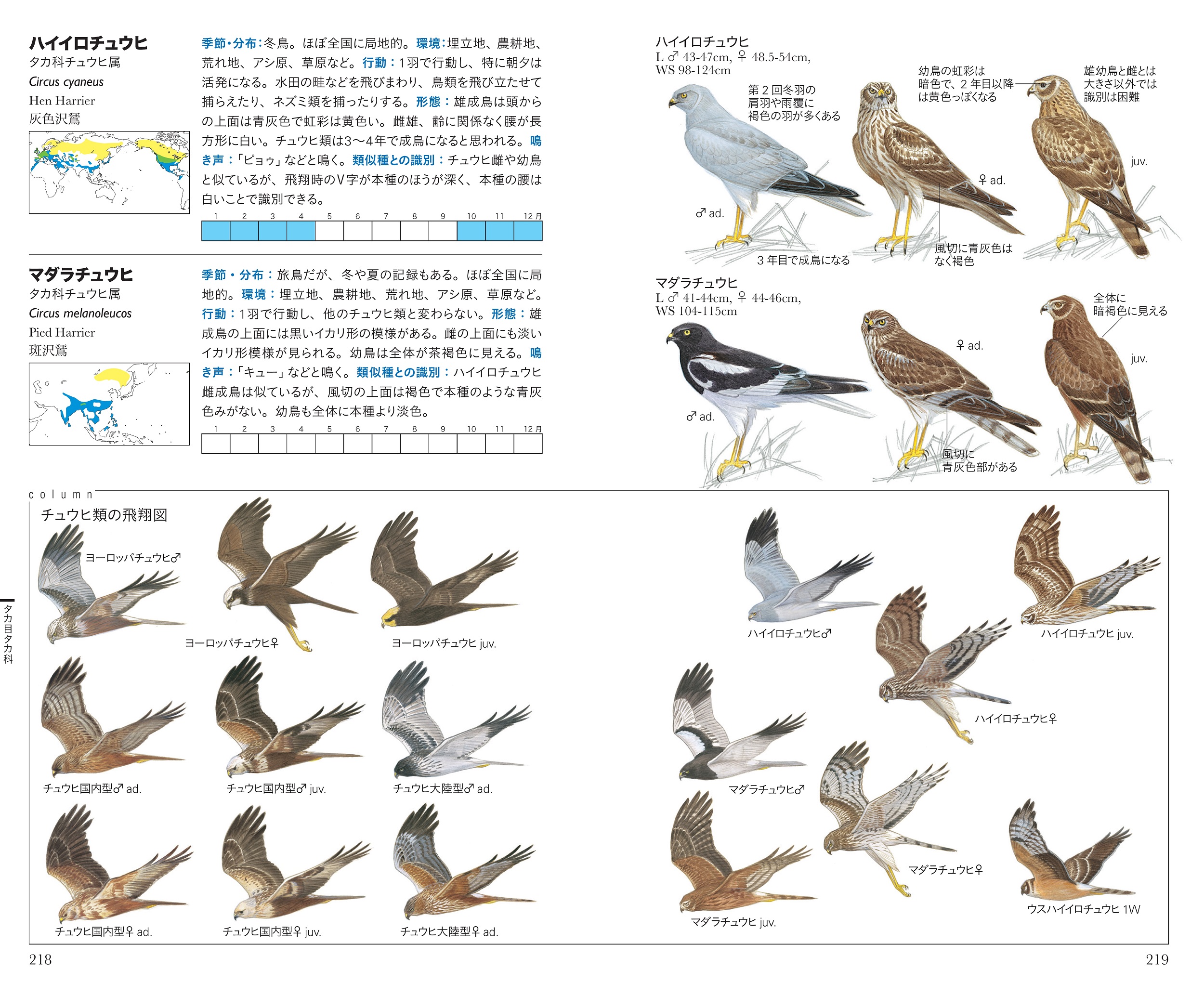 サムネイル画像3