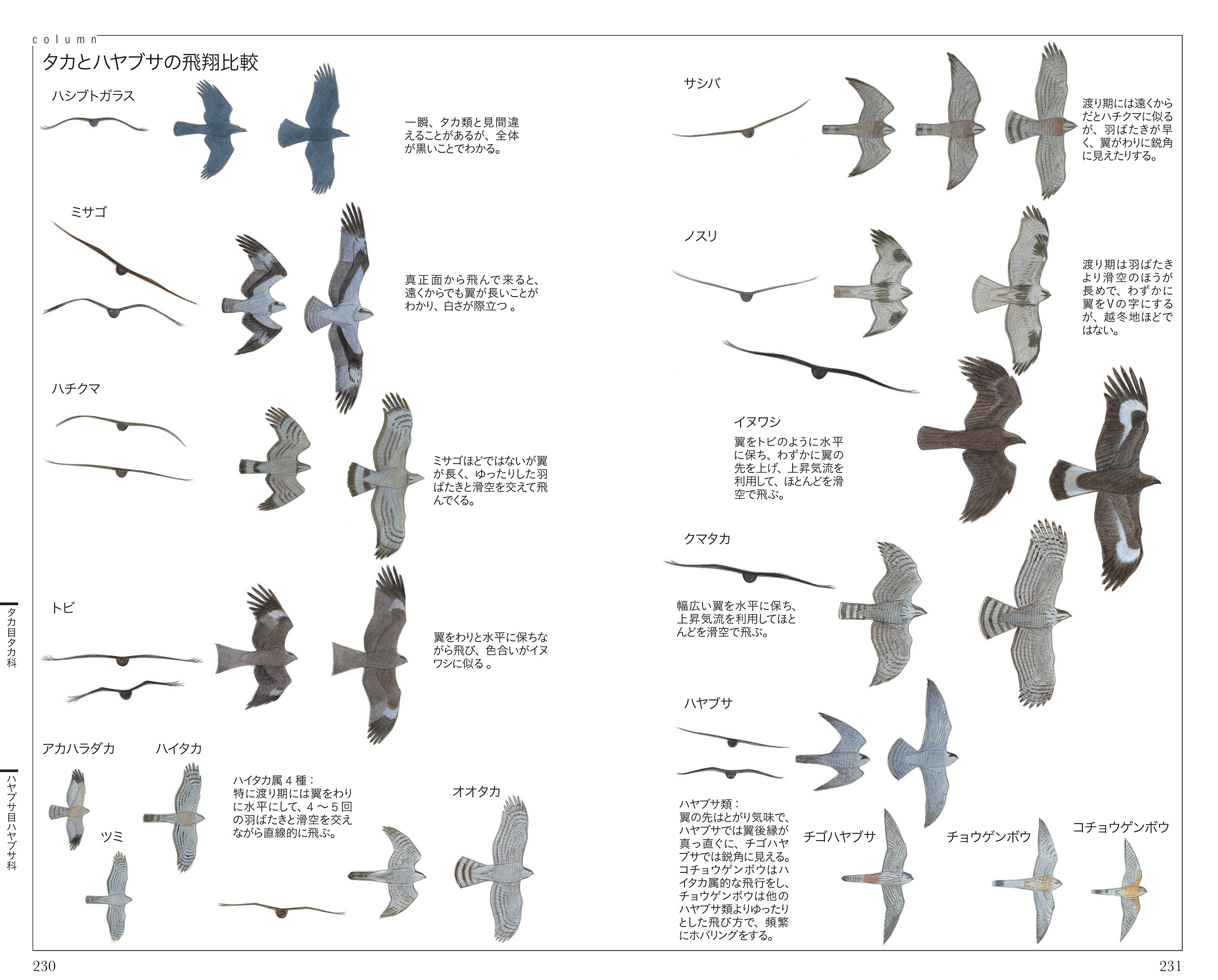 サムネイル画像4