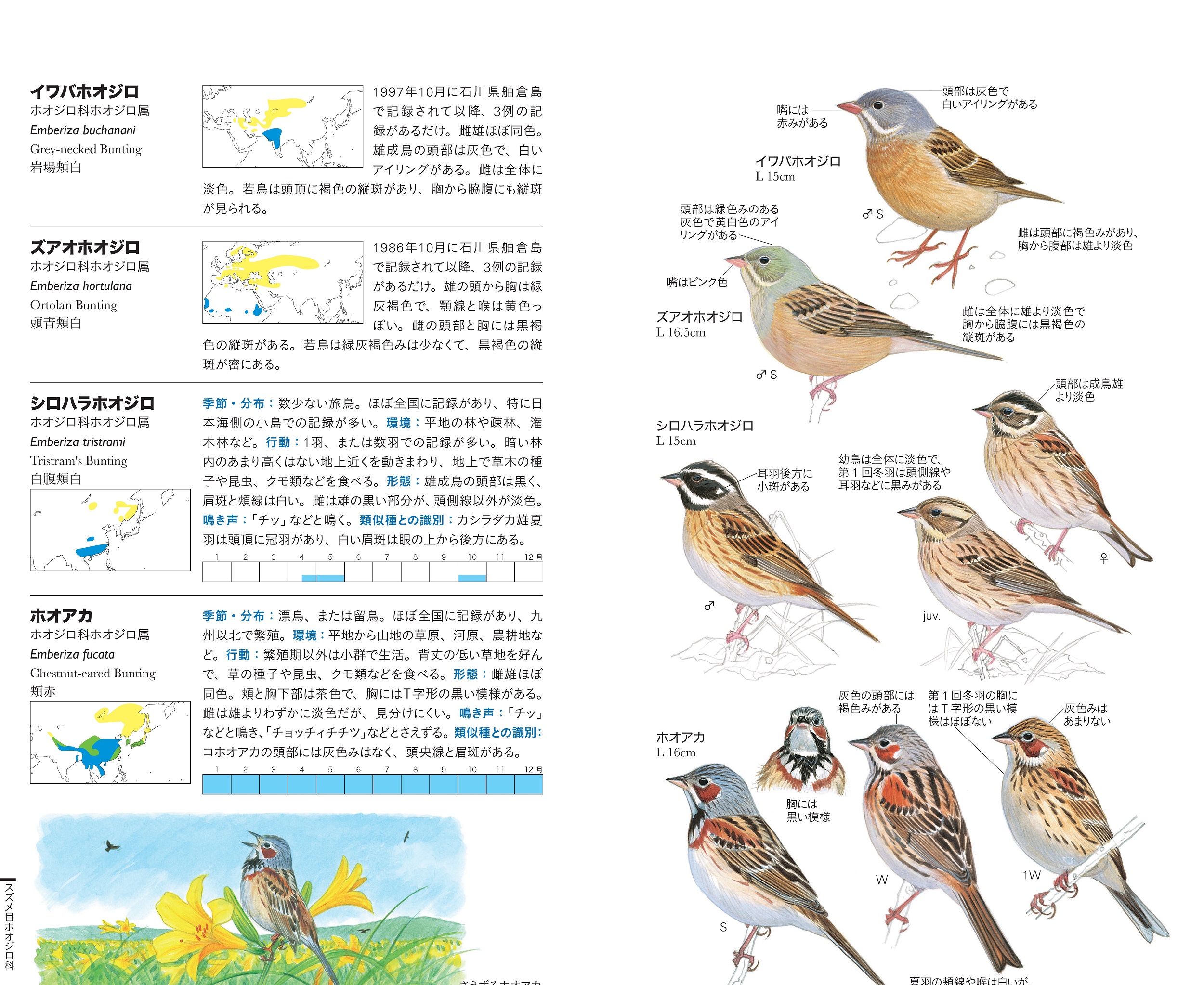 サムネイル画像5