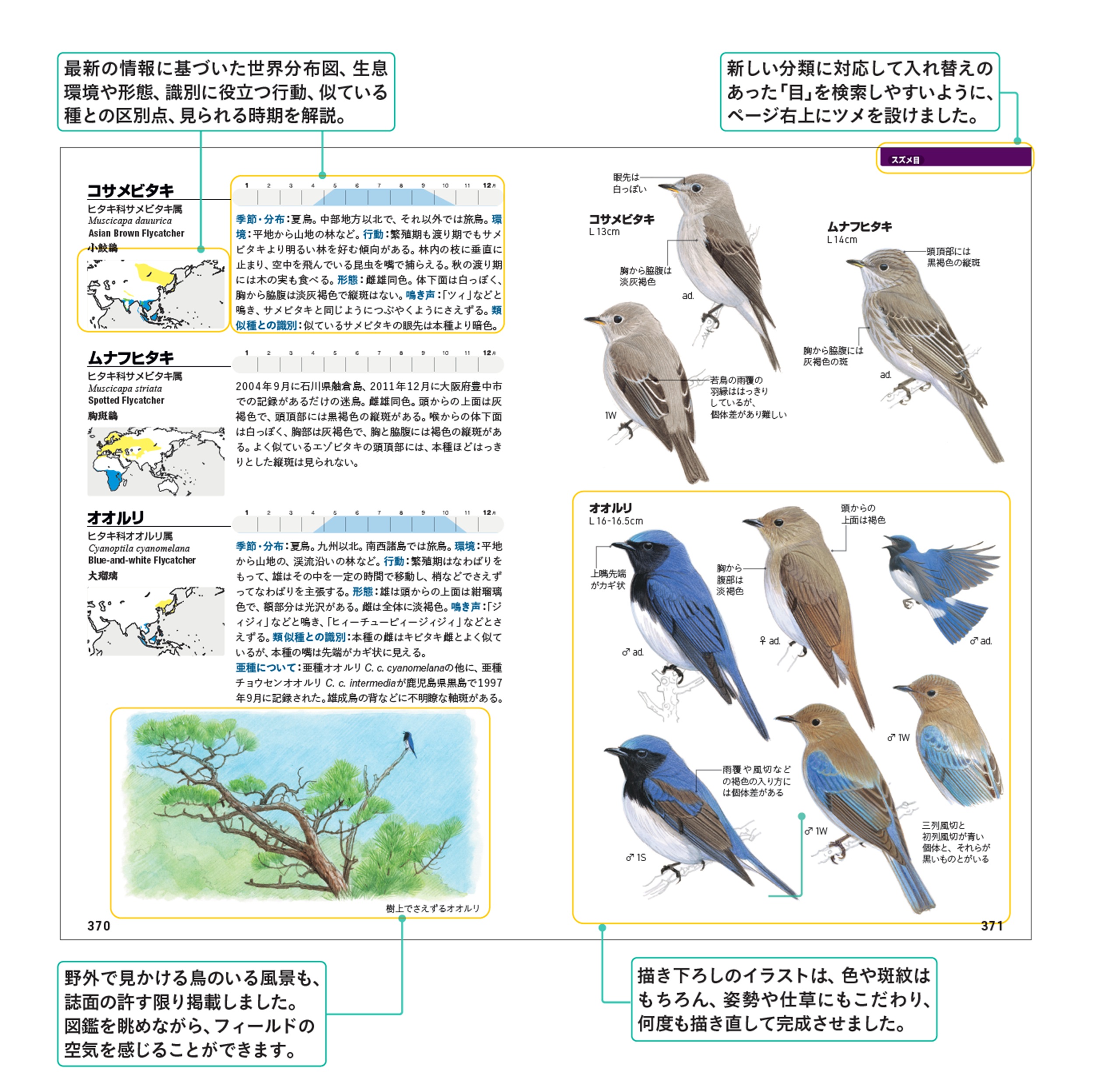 サムネイル画像3